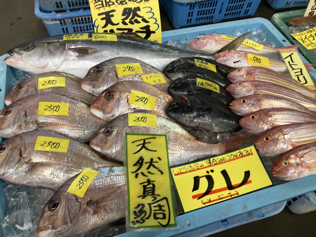 とれとれ市場で魚の顔を拝んできた！ タチウオ美味そう^ ̳ට ̫ ට ̳^