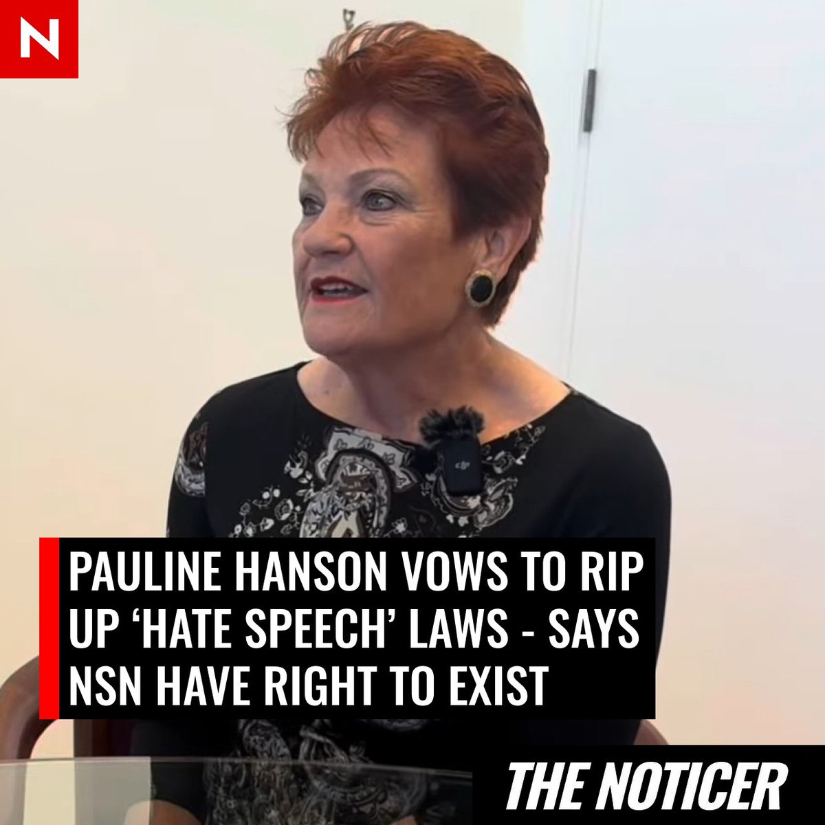 Pauline Hanson has vowed to tear up all of Australia's 'hate speech' laws, and said the National Socialist Network has a right to exist.

"It's up to Australia to vote for it, or not"