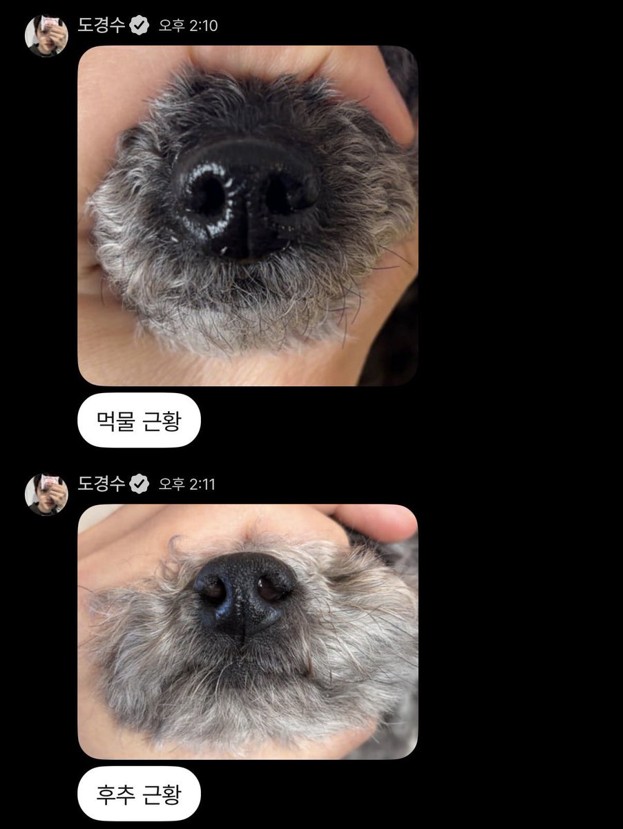 주먹.. tweet media