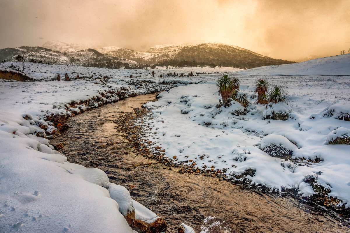 paulmp's tweet image. Hopefully heading back to Tassie for some winter adventures this year. I am also working on a project to head to the Snowy Mountains &amp;amp; Victorian High Country in winter for the first time this year.

#Tasmania #Australia #Winter