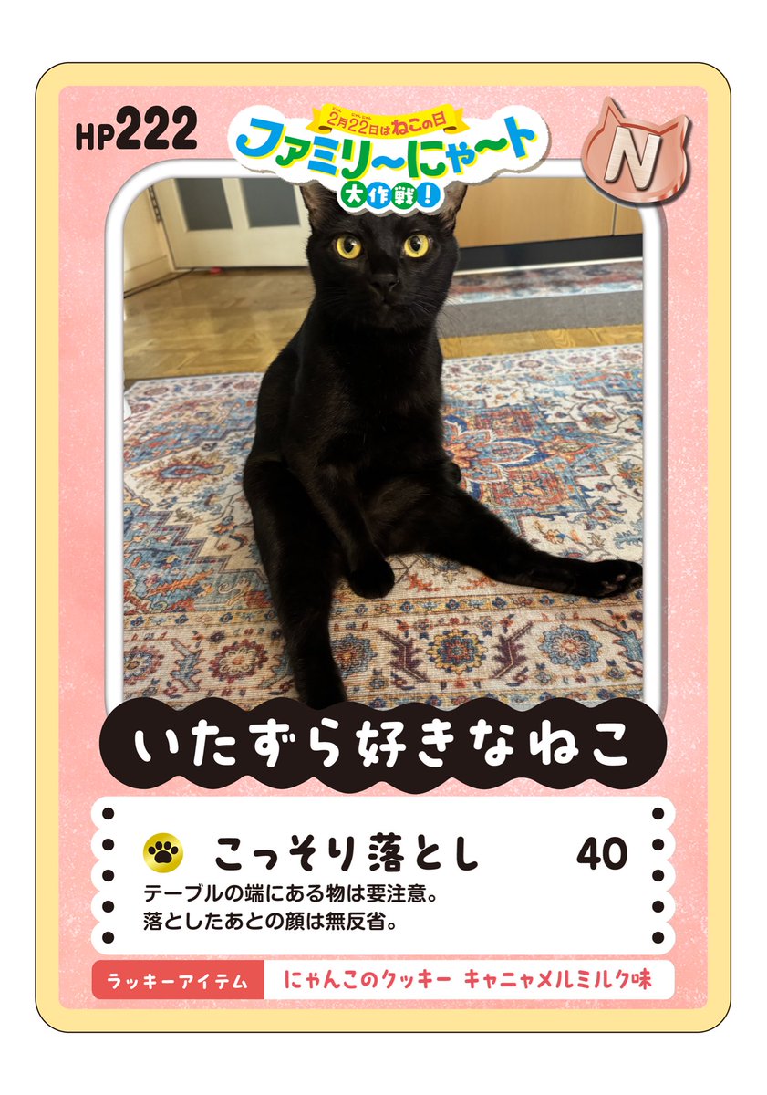 Chobin410's tweet photo. 急に冷えましたね。よもぱん広報ズです。猫の日が近いのからと店主は猫活に課金しすぎで困った人間になってます。我々もその一環に #ファミリ〜にゃ〜ト大作戦 でトレカにされてしまいました。でもなんでか当たってる…ファミマに性格見透かされるだなんて…猫の日恐るべしです🙀 #在宅看板猫 https://t.co/cJcNJR0W4T