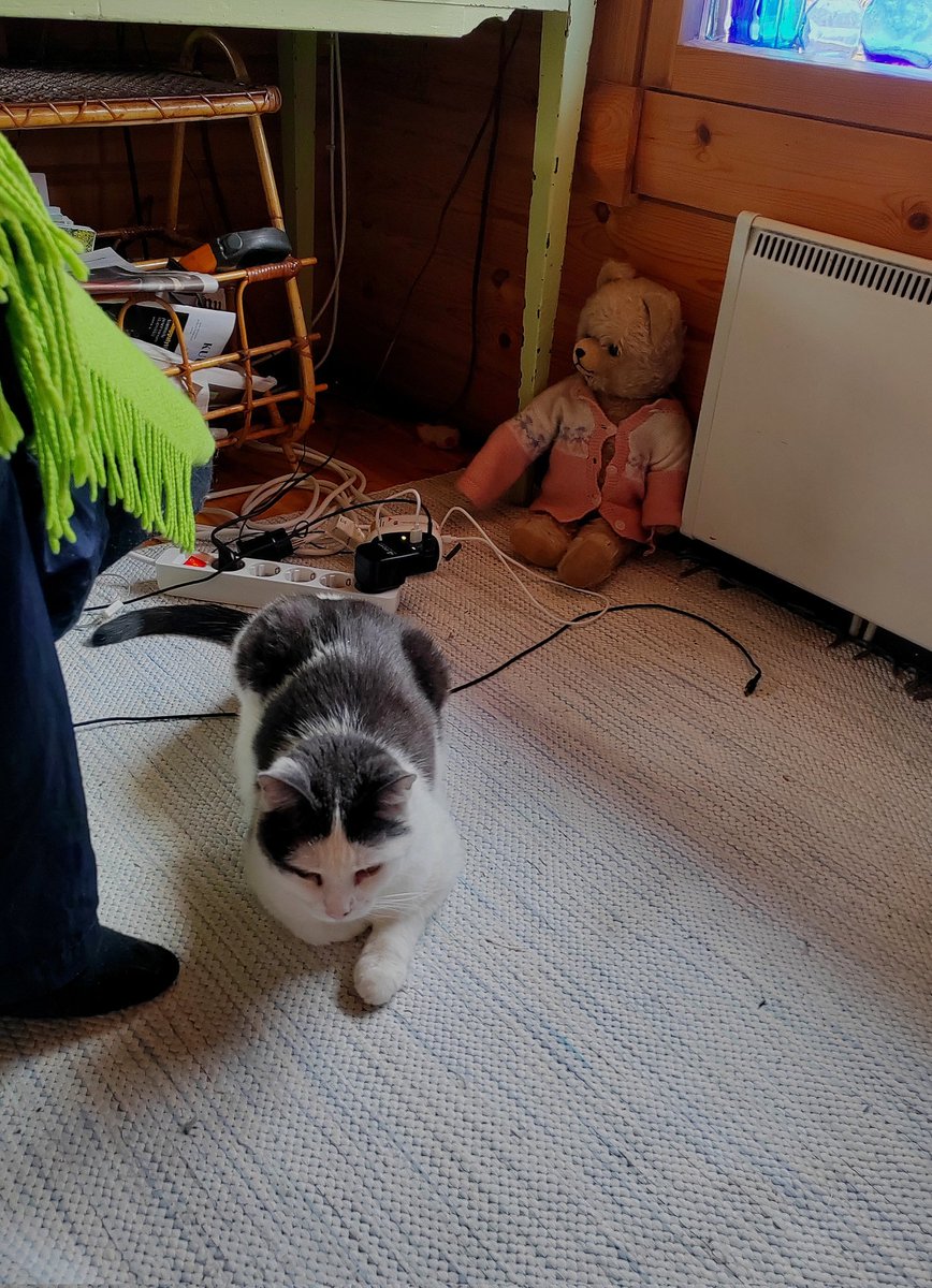 ElseKruskopf's tweet image. Hyvää huomenta tiistaita. En muista koska olisi ollut tällaista höttölunta. Kevyesti sujui terassin putsaus+muut👍 Jalo  virittäytyy laskiaistiistaihin ❤️🐱 #Finland #Jaala #cottage #Wintervibes #Catsoftwitter #Jalo #StandWithUkraine️ 💛 💙 🇺🇦