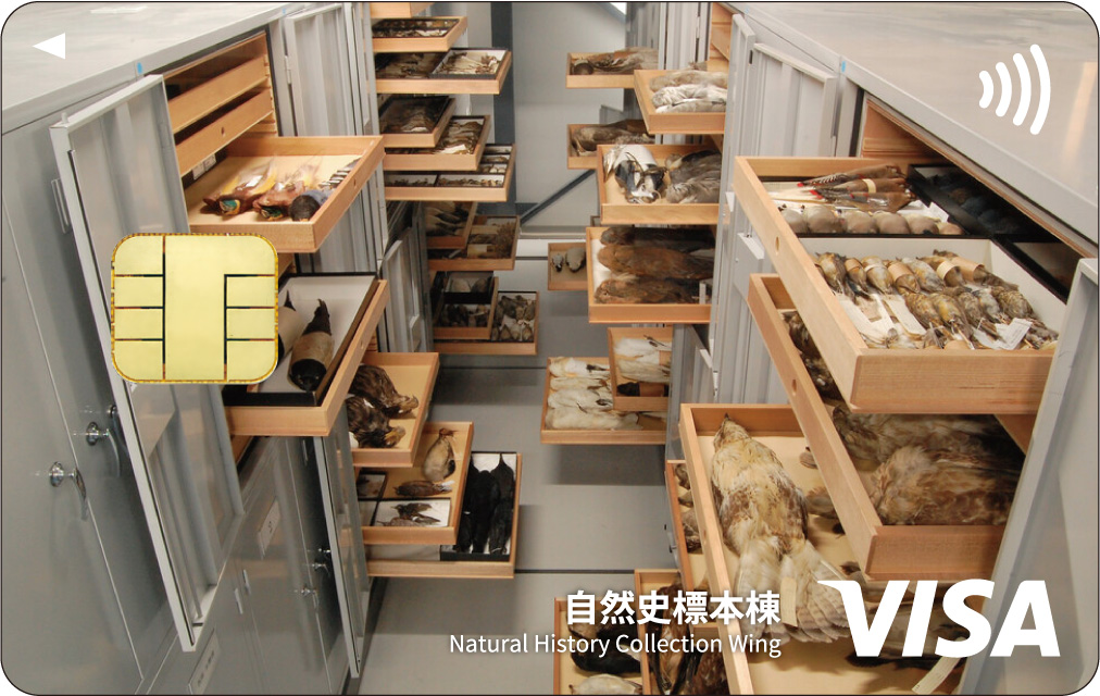 国立科学博物館150周年事業・寄付受入担当 tweet media