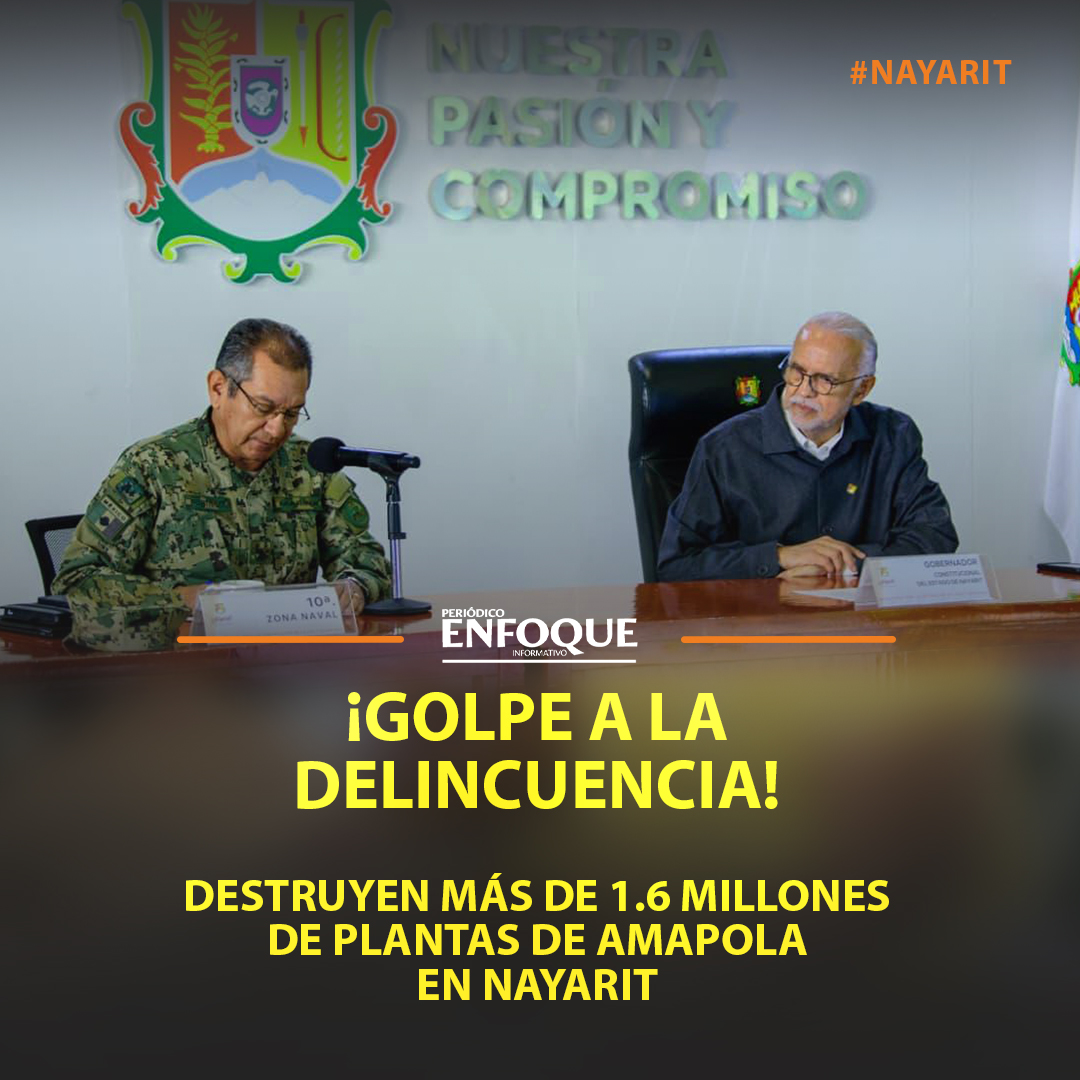 ¡Golpe a la delincuencia! ✅ 34 plantíos erradicados y equipo táctico asegurado en operativos coordinados en la sierra de #Nayarit. 👮‍♂️🚓#PazYSeguridad <a href="/NayaritGobierno/">Gobierno del Estado de Nayarit</a> <a href="/MiguelANavarroQ/">Miguel Ángel Navarro</a> 
➕ℹ️👉perenfo.com/n/lvp