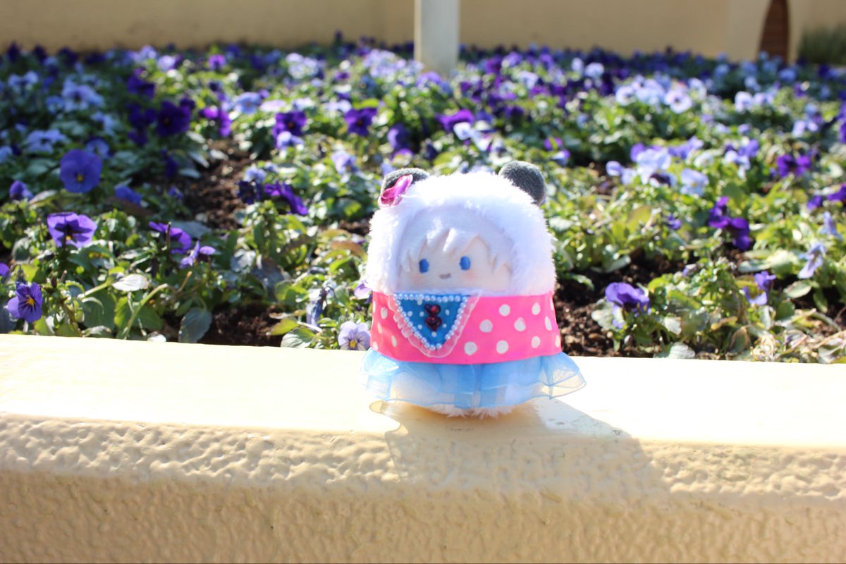 ᴄʜɪʀᴏ tweet media