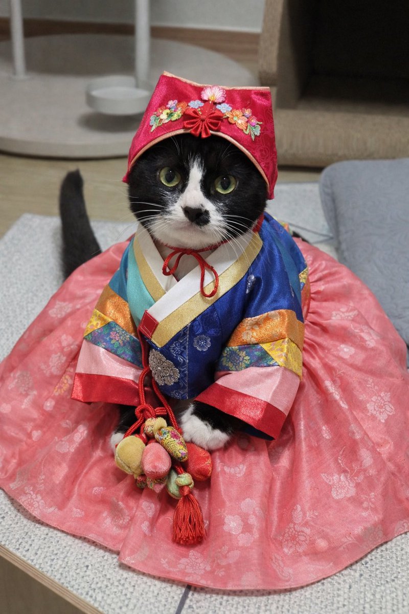 새해 복 많이 받으세요 (ㅋㅋㅋㅋㅋ)