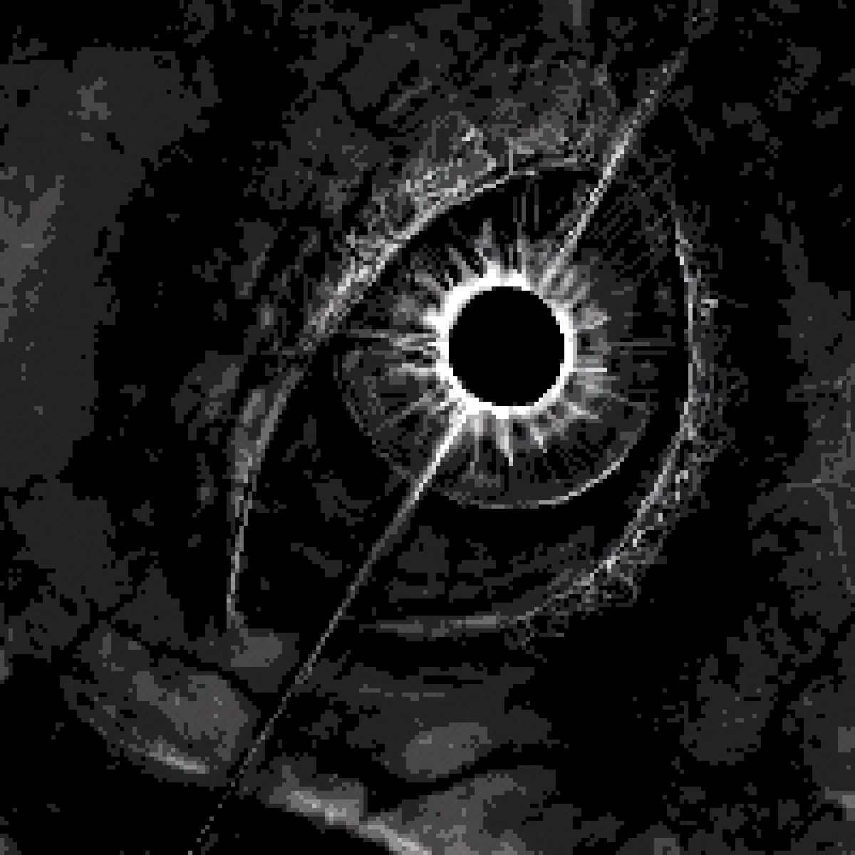 Typhereus tweet media