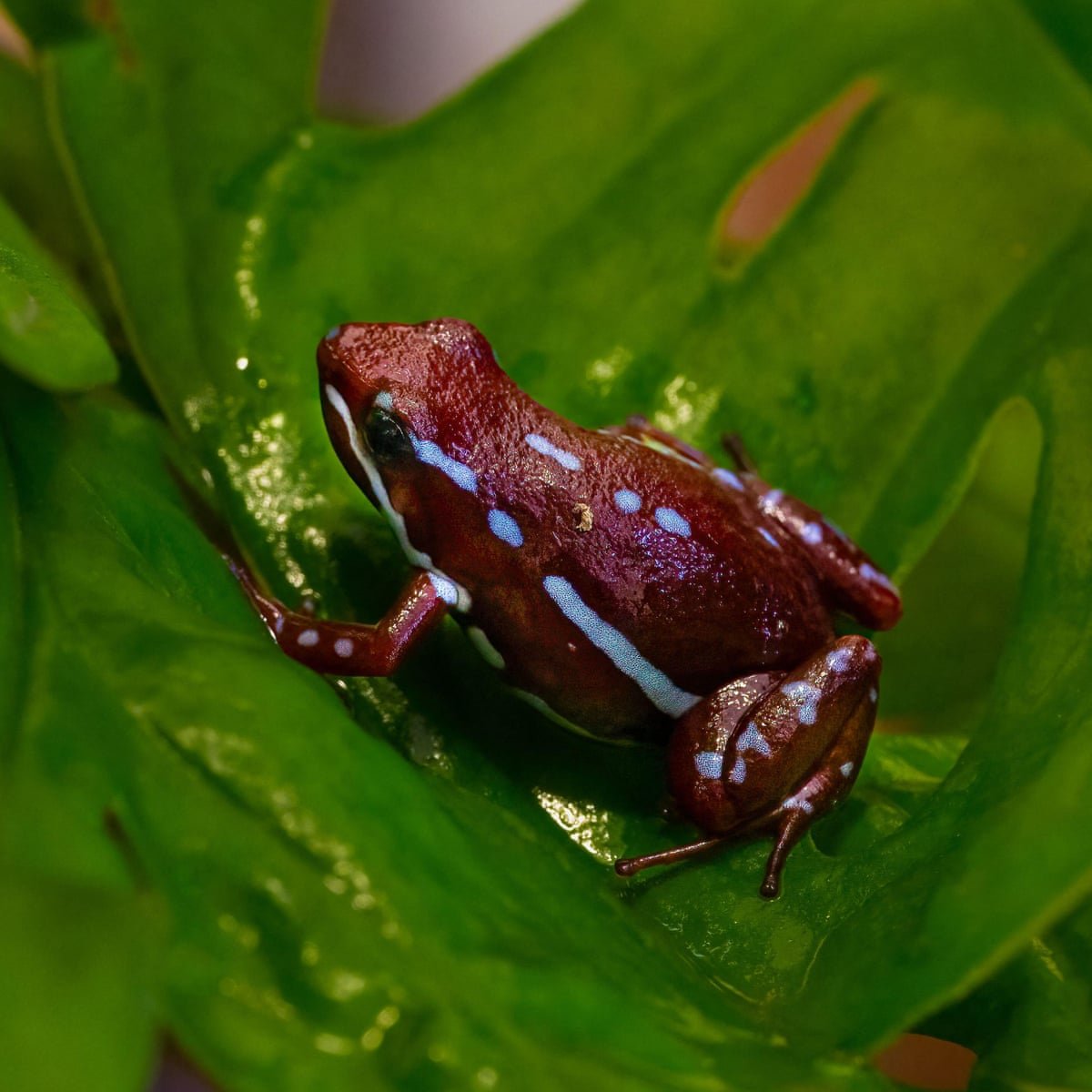 Metanews.com tweet media