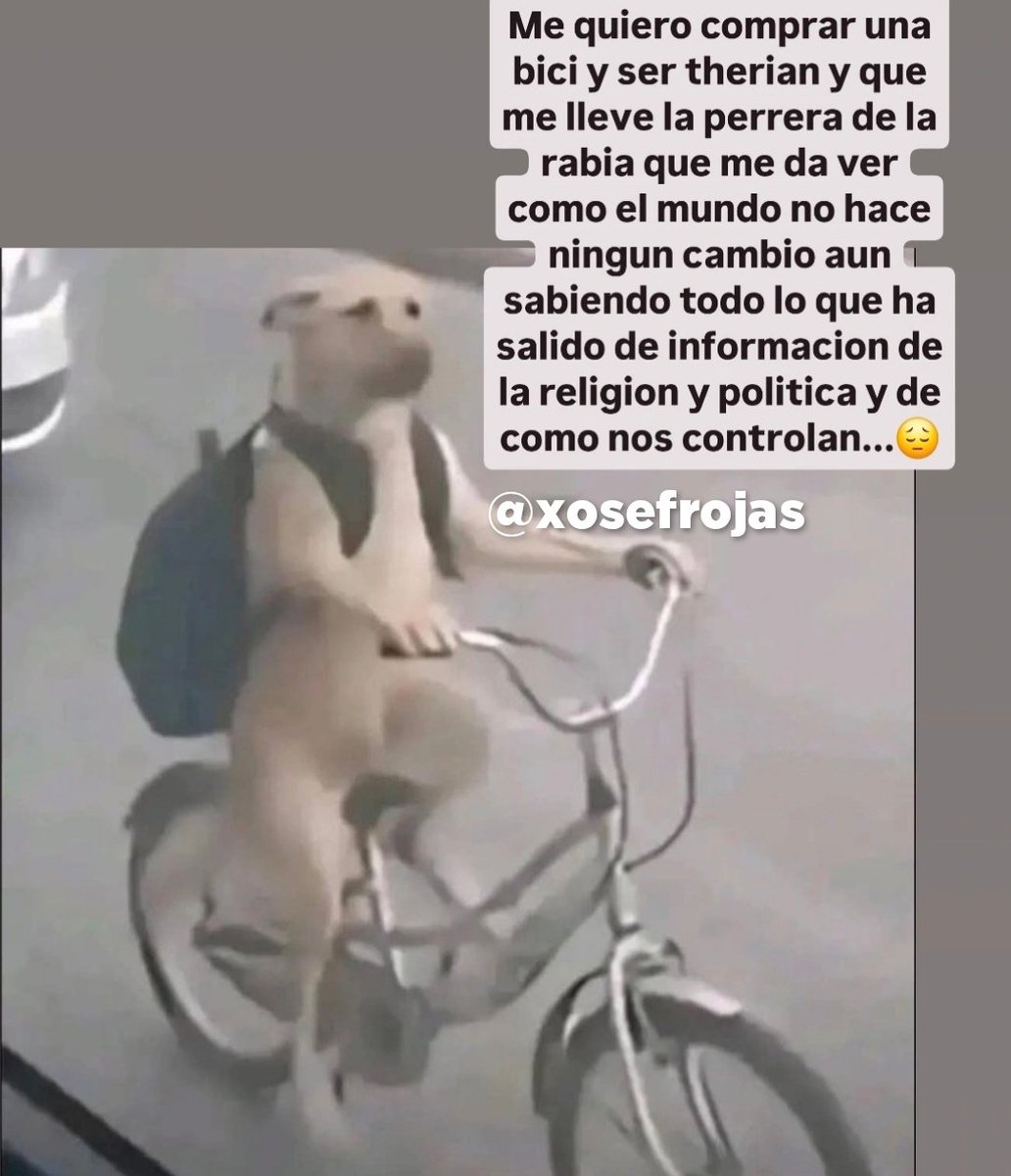 xosefrojas tweet media