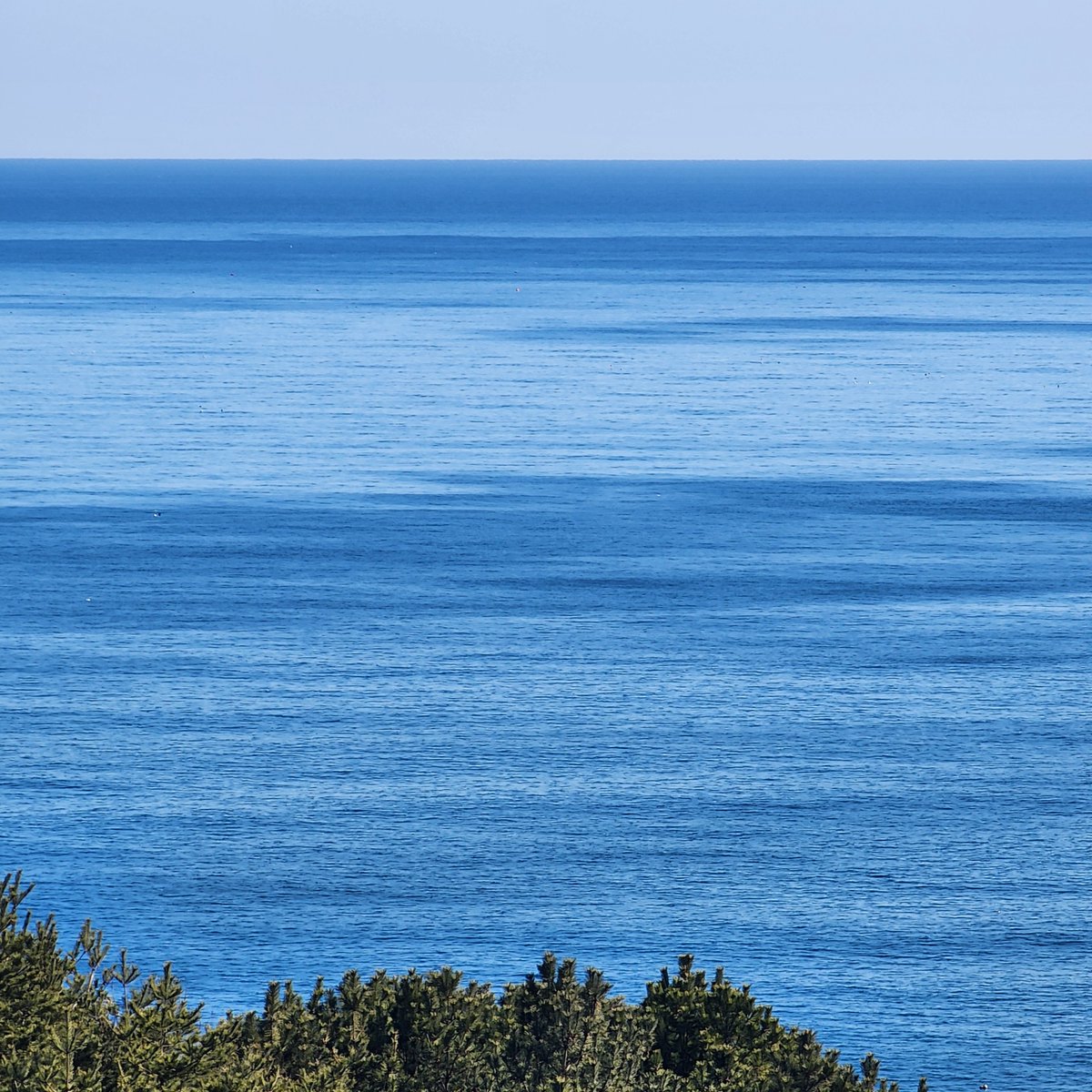 leepudding_'s tweet image. 🌊🌊🌊🌊 ⛰️