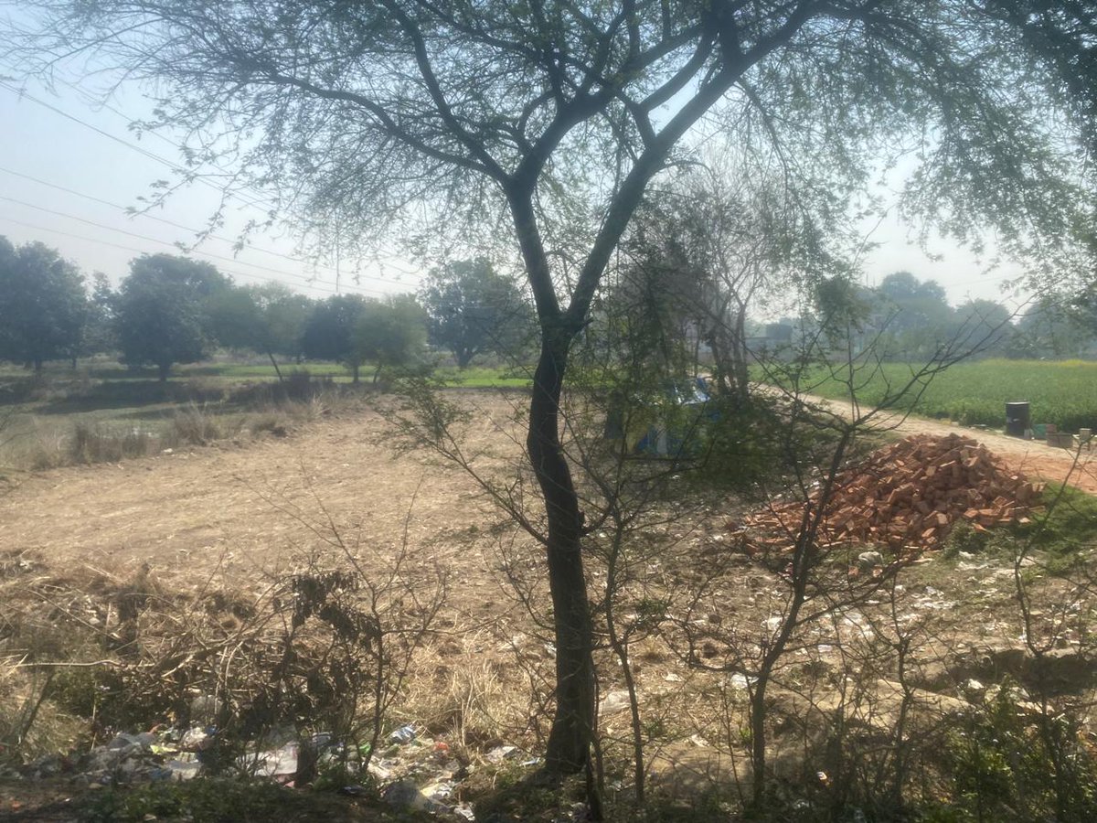NEWSNOWINDIA0's tweet photo. #AMETHI हल्का लेखपाल की मिलीभगत से दबंग भूमाफिया कर रहे तालाब की ज़मीन पे कब्ज़ा मामला कमरौली थाना क्षेत्र के कठौरा ग्राम पंचायत के गाटा संख्या 1653 का
@DmAmethi @CMOfficeUP @UPGovt @CMHelpline1076 @PMOIndia https://t.co/V5lPduN9c4