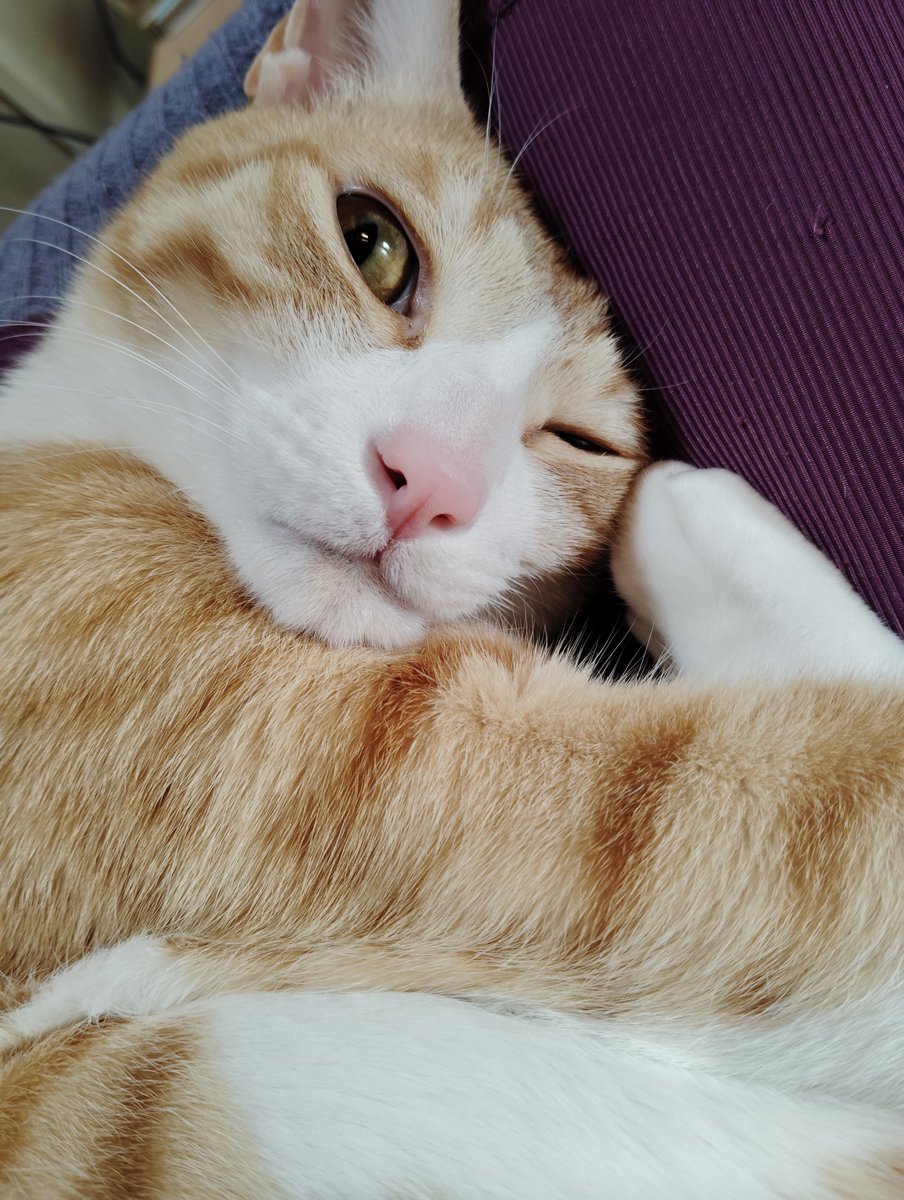 ７ (@vanillinillin) on Twitter photo 