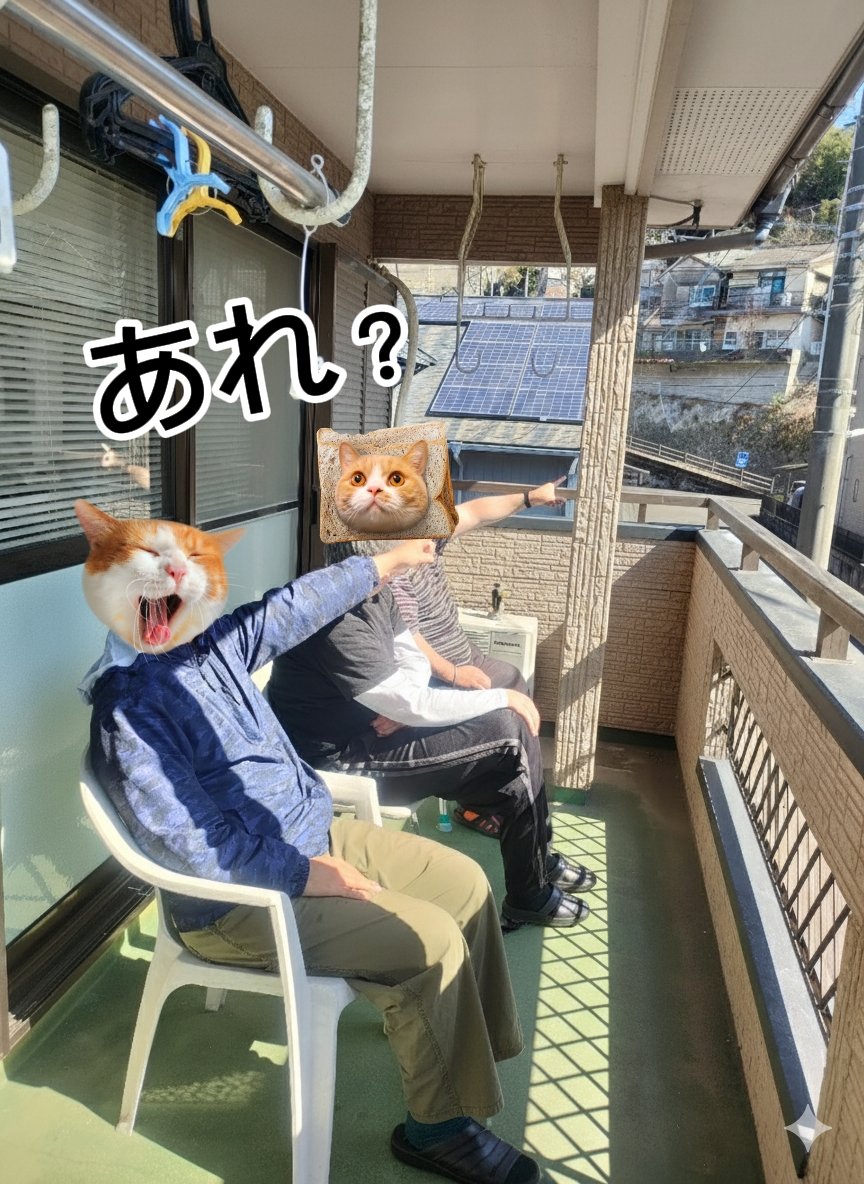 platform_mirai's tweet photo. 2階の休憩所
広いベランダでみんなで日向ぼっこ(^o^)

何かを見つけたようです！ https://t.co/SVtRfPiCNQ