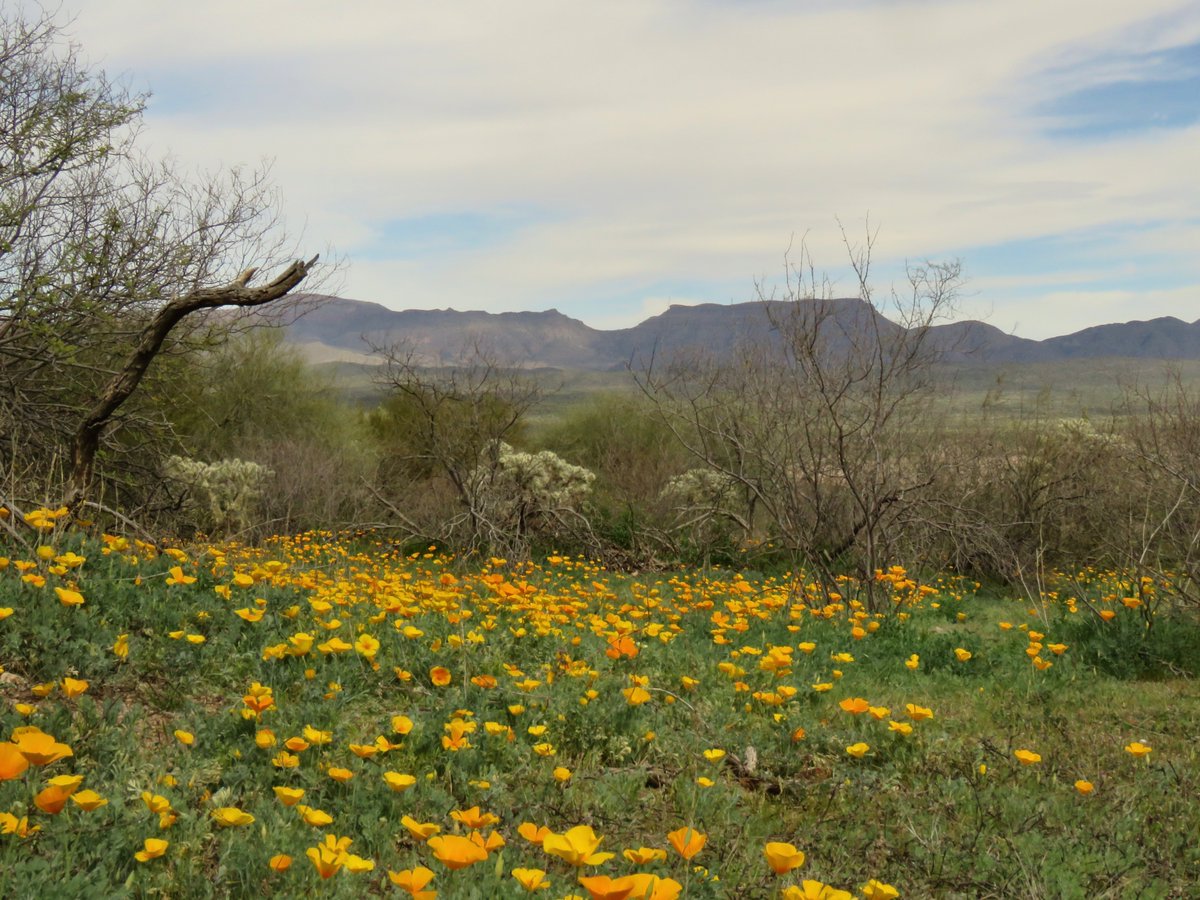 Melissa Crytzer Fry tweet media