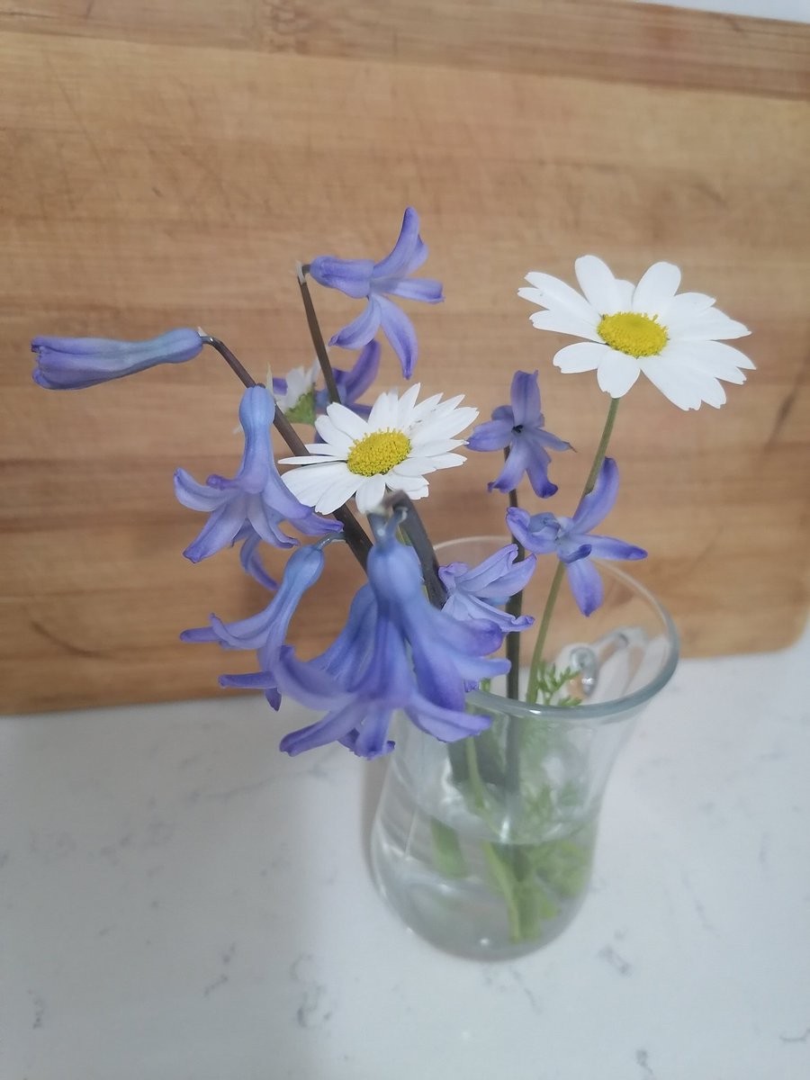 Günaydın!
Bahar gelmiş 😍