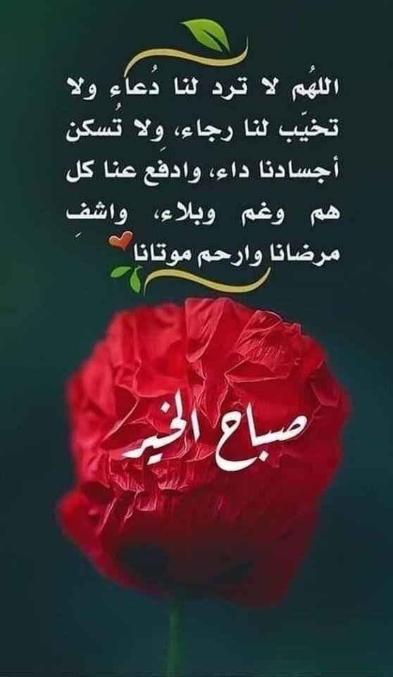 احمد (@abwnayf88) on Twitter photo 