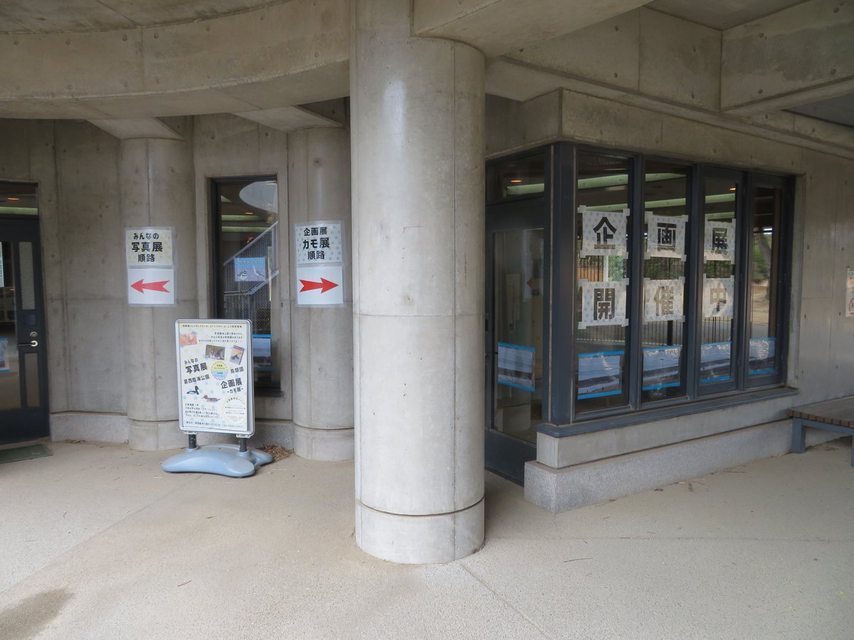 鳥類園1Fレクチャールームにて写真展と企画展を同時開催中✨ 普段は