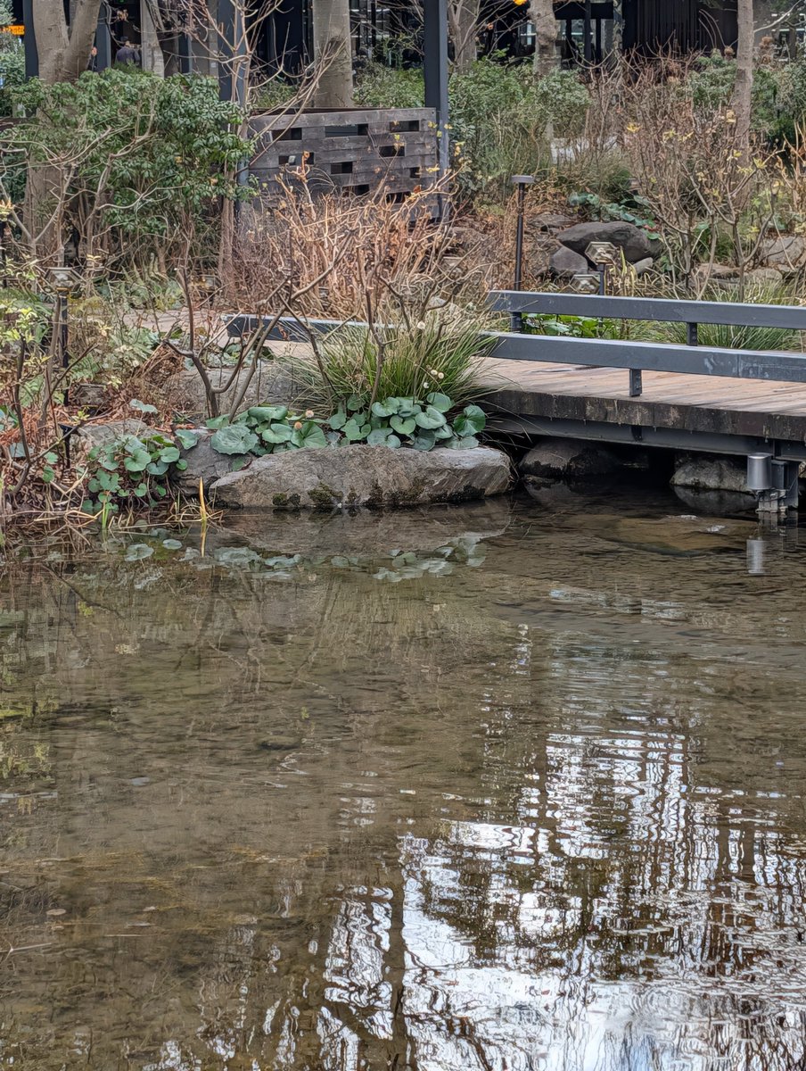 doctor_moog's tweet photo. I'm at GREEN SPRINGS in 立川市, 東京都 https://t.co/madqaUXOig
4人のスナップ写真のカット。
かぐやのはここで合っているのか自信ないけど、他の3人は合ってると思う。 https://t.co/QHVMdsGcgJ