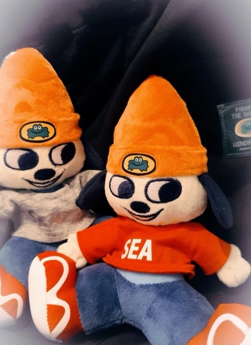 みてみてー！買ったの🐶💛