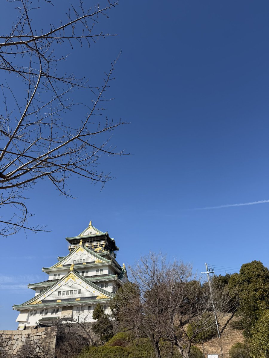 Osaka Castle