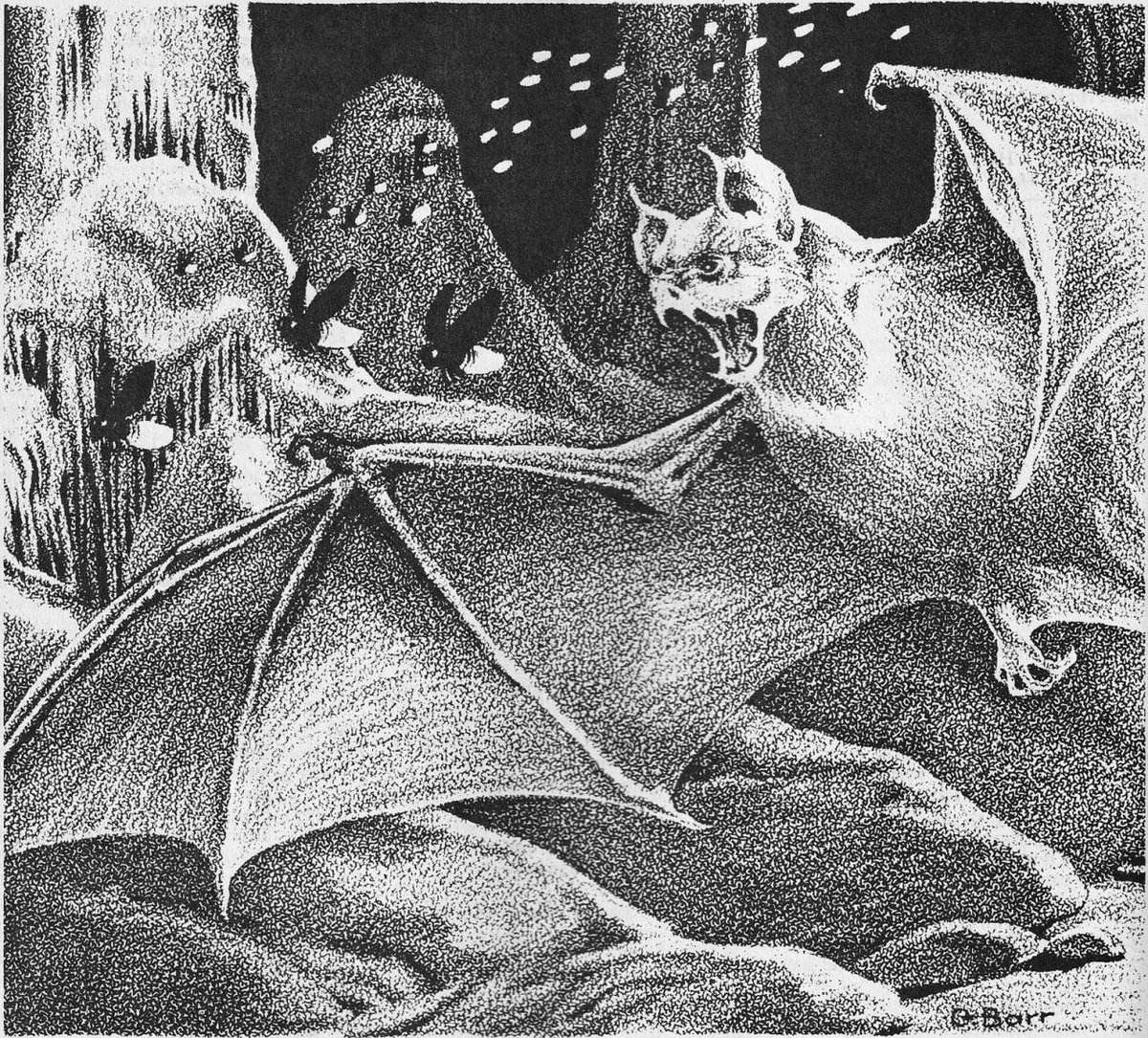 OldSchoolRPGArt's tweet photo. George Barr - Art from 𝘎𝘋𝘘1-7 𝘘𝘶𝘦𝘦𝘯 𝘰𝘧 𝘵𝘩𝘦 𝘚𝘱𝘪𝘥𝘦𝘳𝘴 (Gary Gygax), 1986, TSR, Inc. #tsr #dnd #dndart #trrpg #ttrpgs #ttrpgart https://t.co/ghS4Lrwxxe