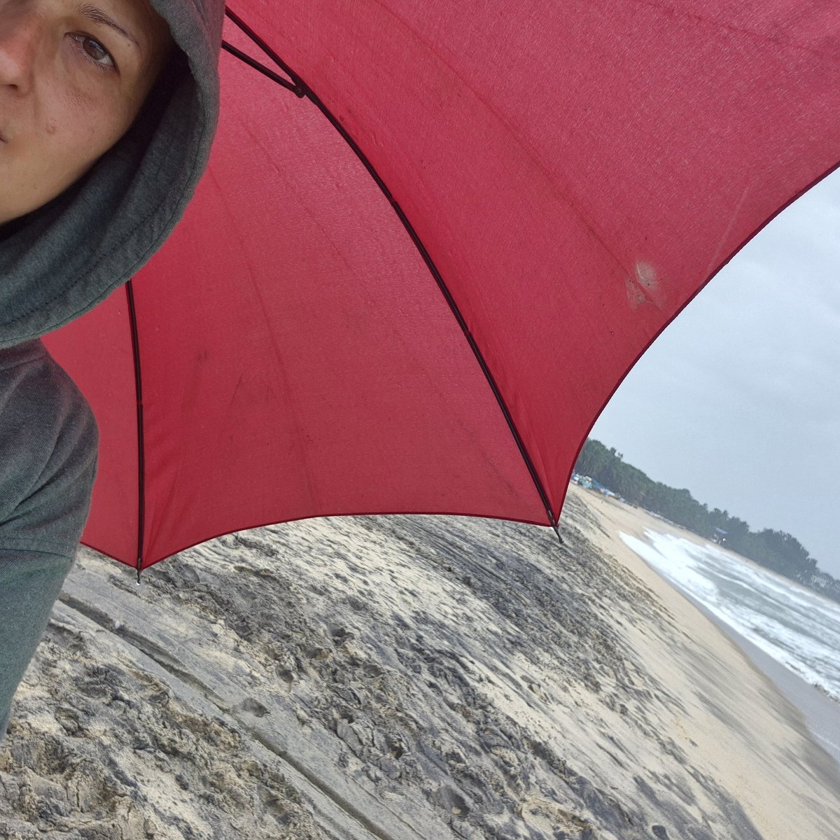 athina fokidou tweet media