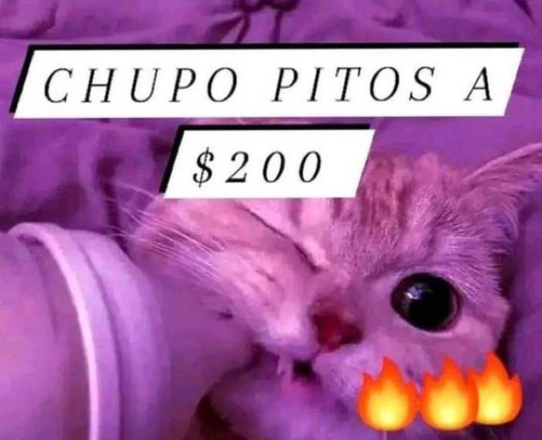dulce chavez tweet media