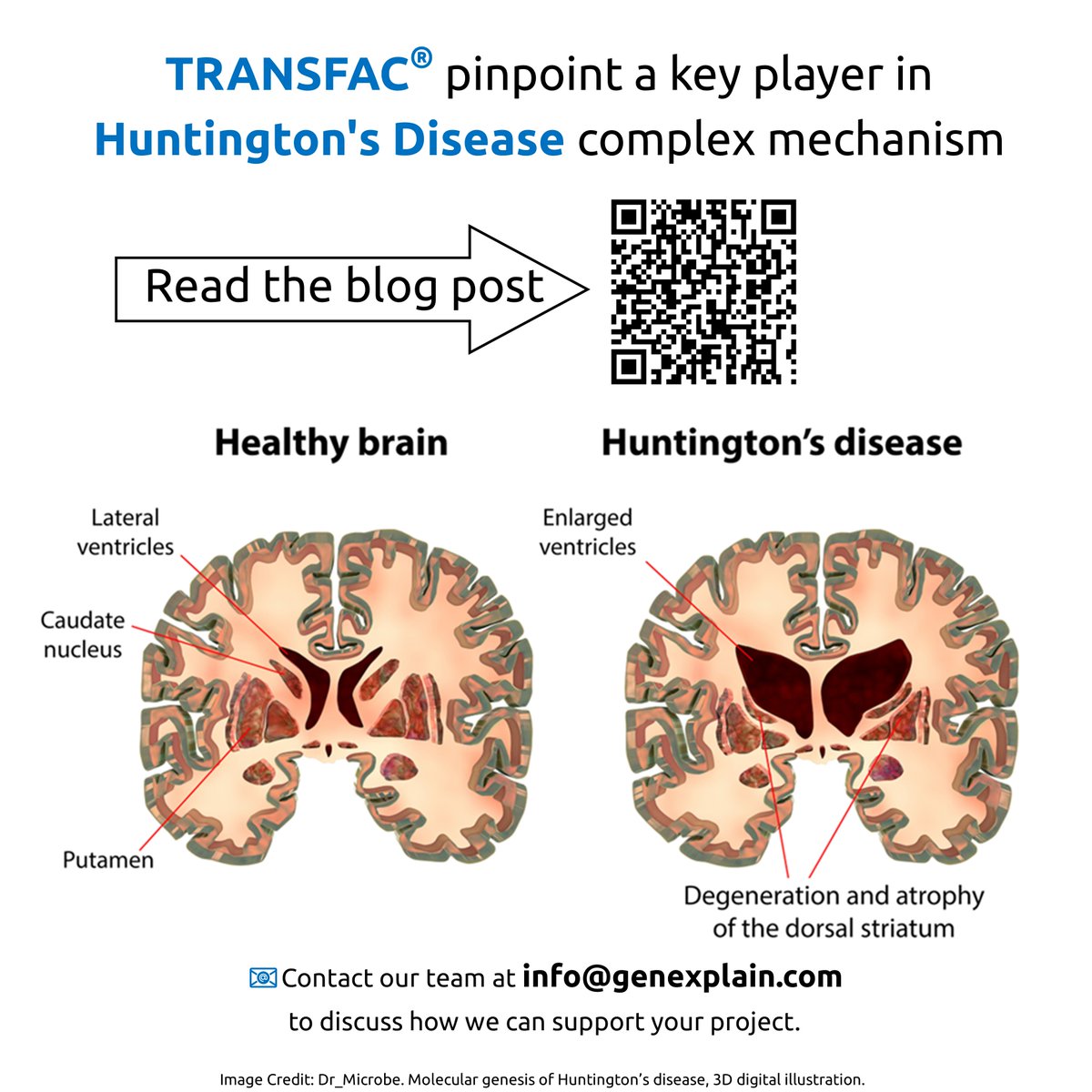 geneXplain GmbH tweet media