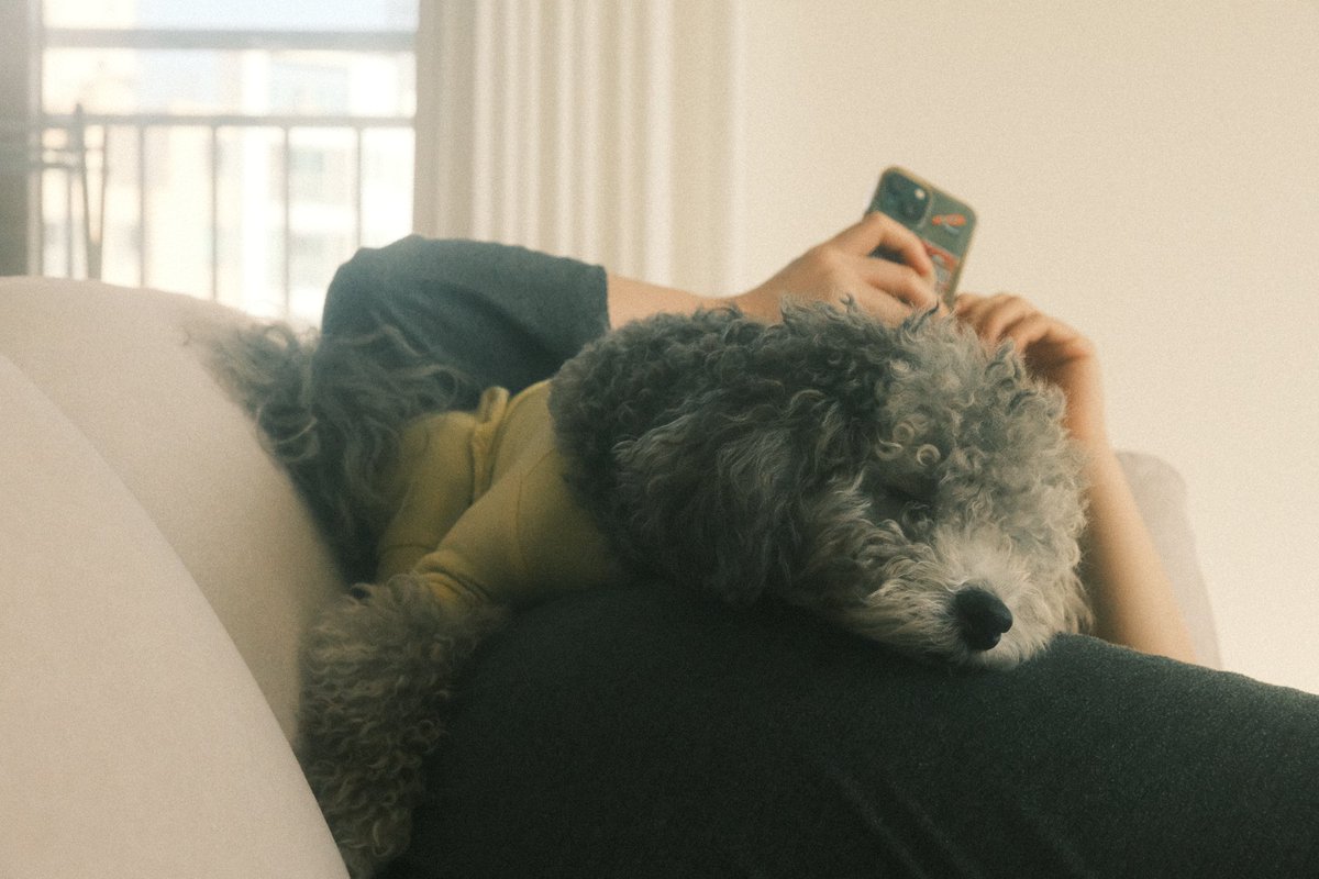 주말을 함께한 가나디