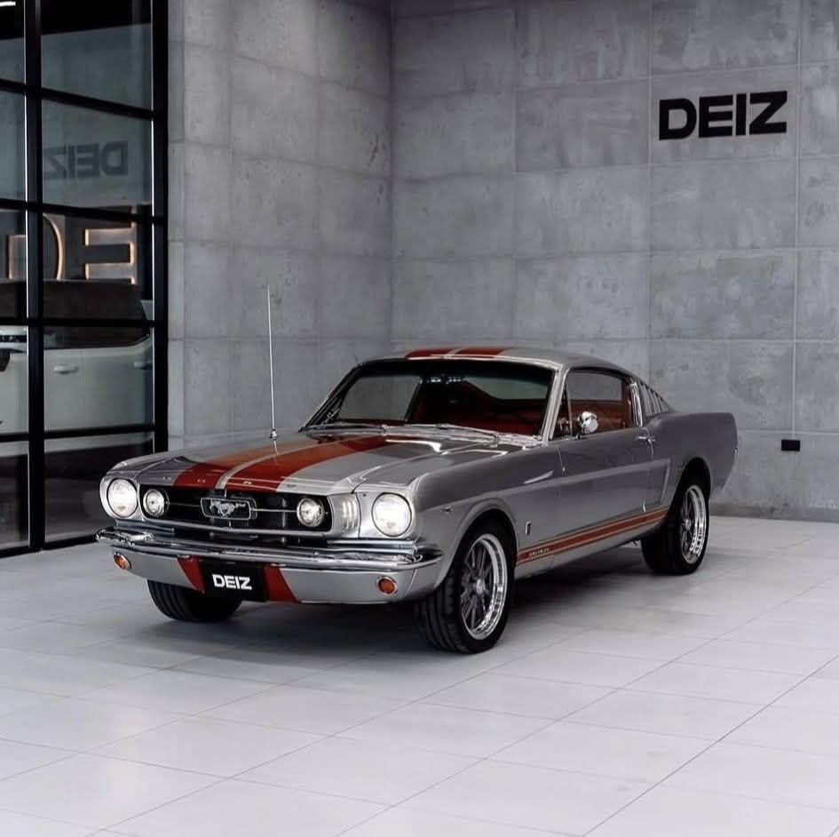 AlejandroJGarza's tweet image. 