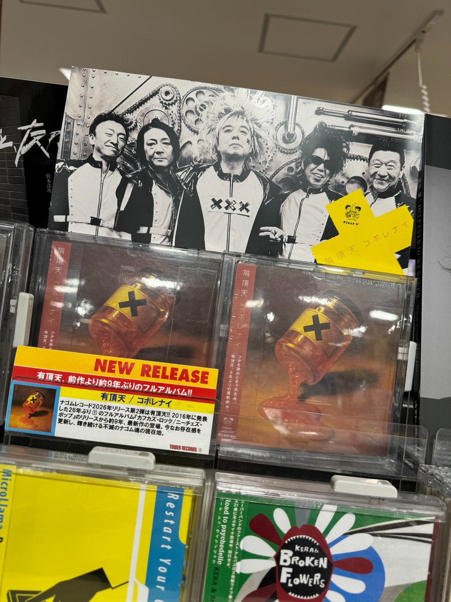 有頂天・シャイコナ (@uchotenxxx) / Posts / X