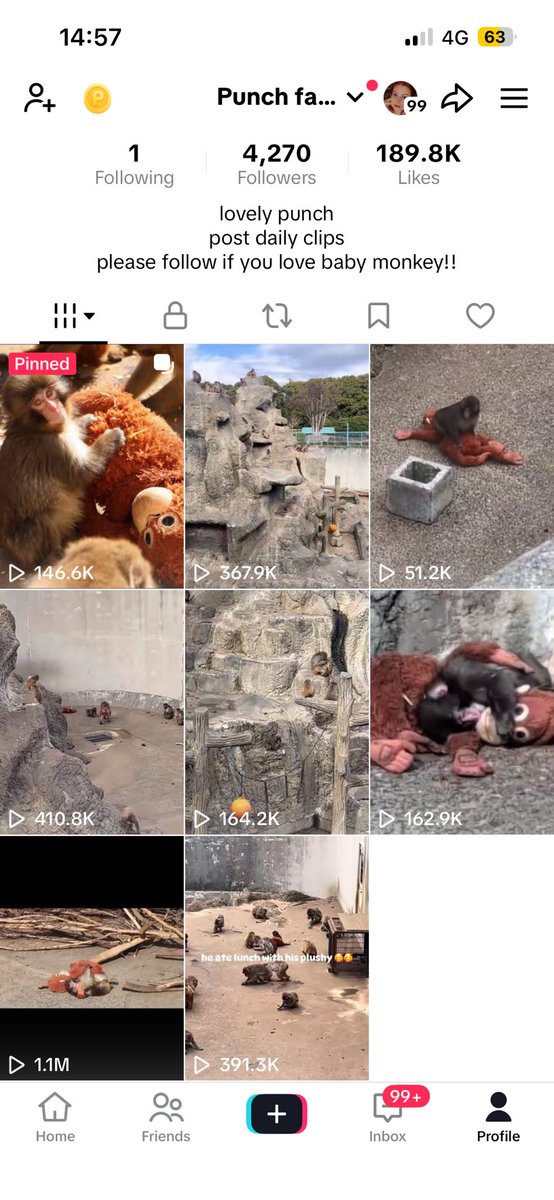 haru (punch/acc) tweet media