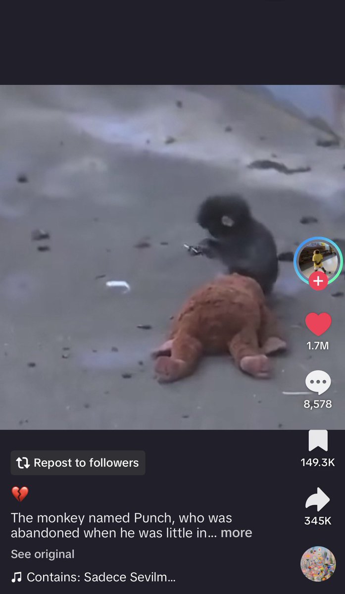 haru (punch/acc) tweet media