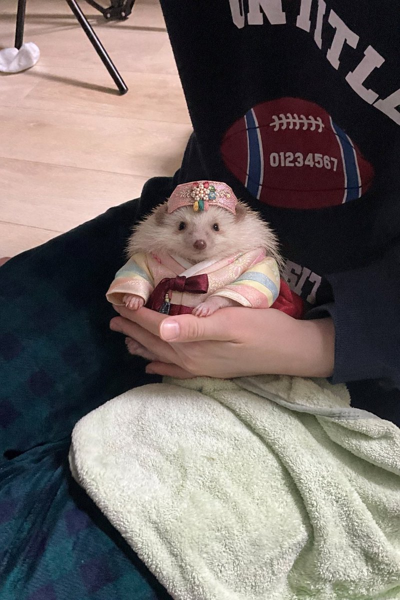 다들 새해 복 많이 받아요~~
모든 고슴이들이 건강하고 행복한 한 해 보내길!!