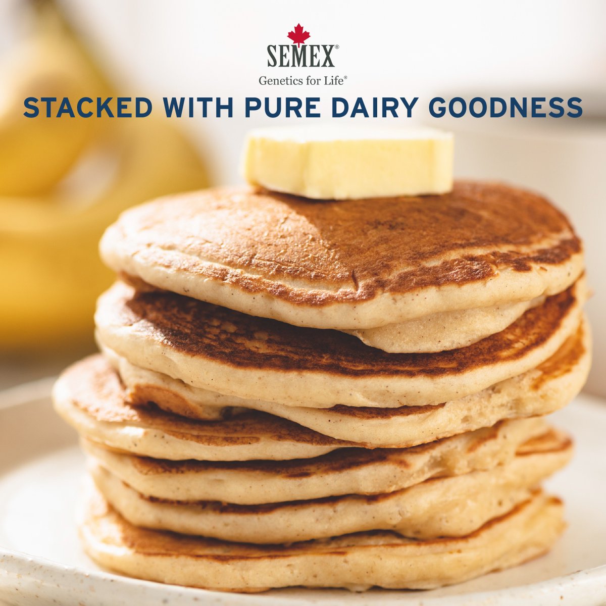 Semex UK tweet media