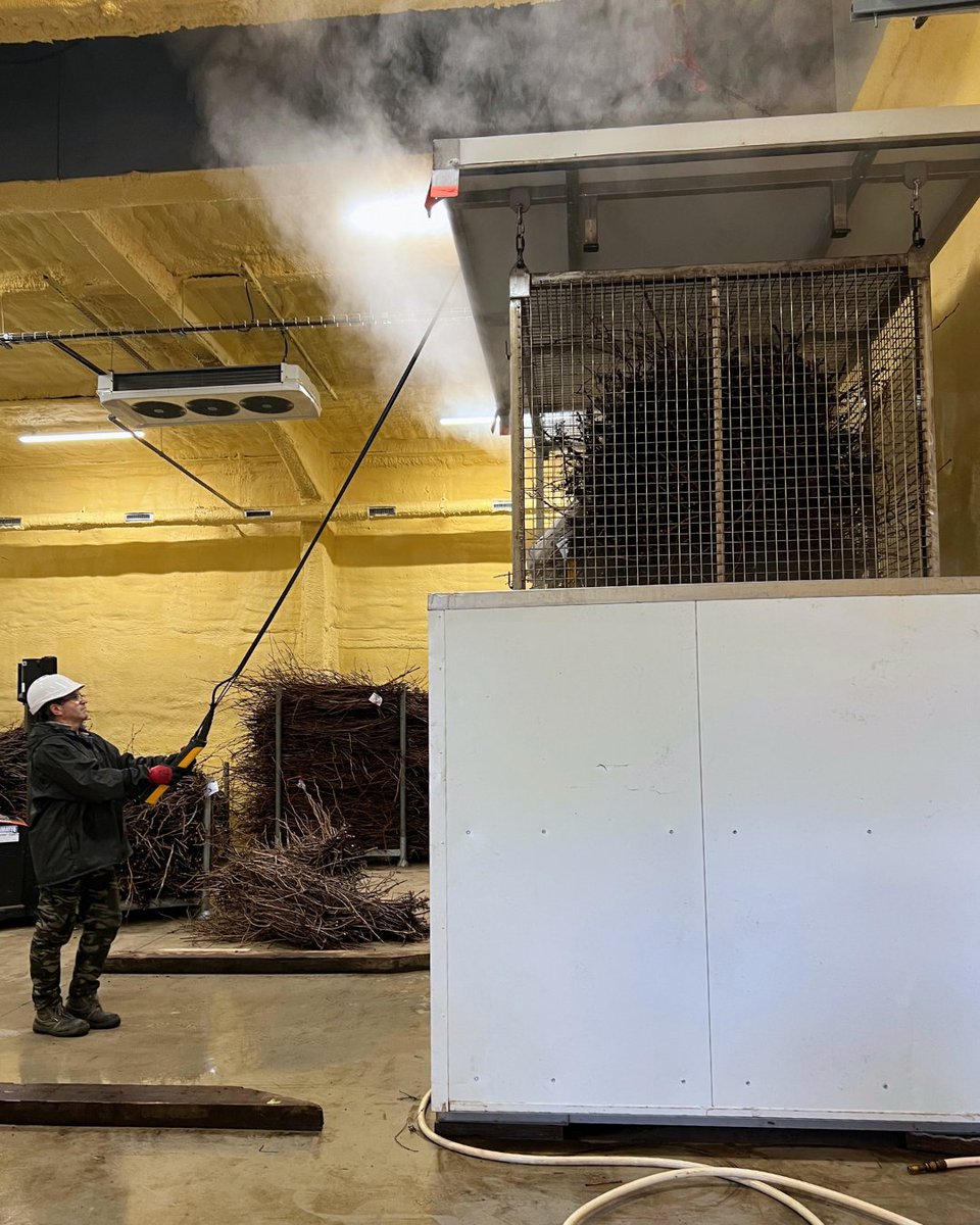 VITIPEP'S tweet media