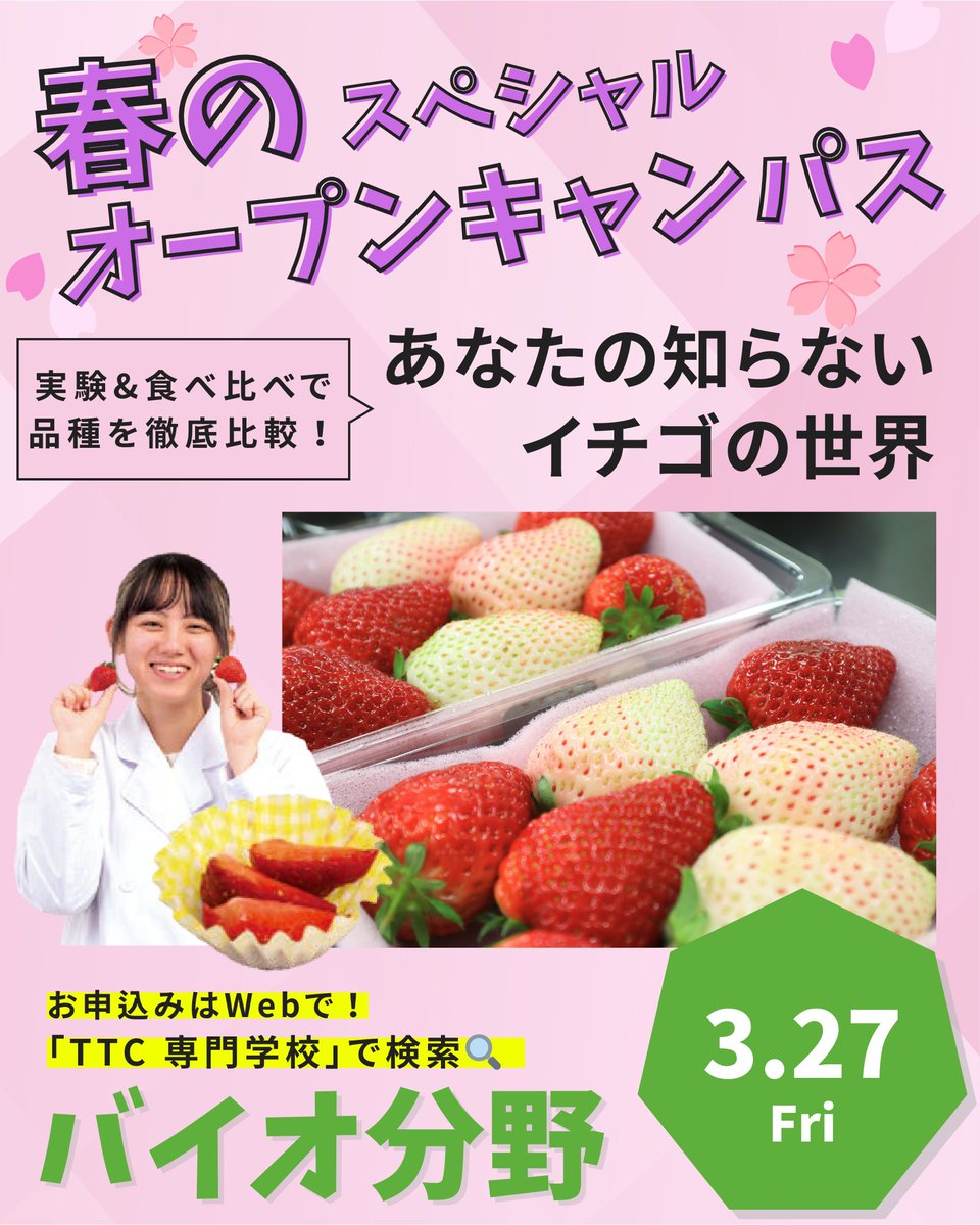tera_house_h's tweet photo. 🌸春のスペシャルオーキャンのご案内🌸
3/22、25、27、29の全4日程！

【3/27（金）は環境・バイオ分野🌱】

あなたの知らないイチゴの世界🍓
品種を徹底比較！
・イチゴを食べ比べ
・品種改良について知れる！
・食品分野に興味がある人は必見！

お申込みはWebから！
「TTC 専門学校」で検索🔍 https://t.co/XmAg51JHxi