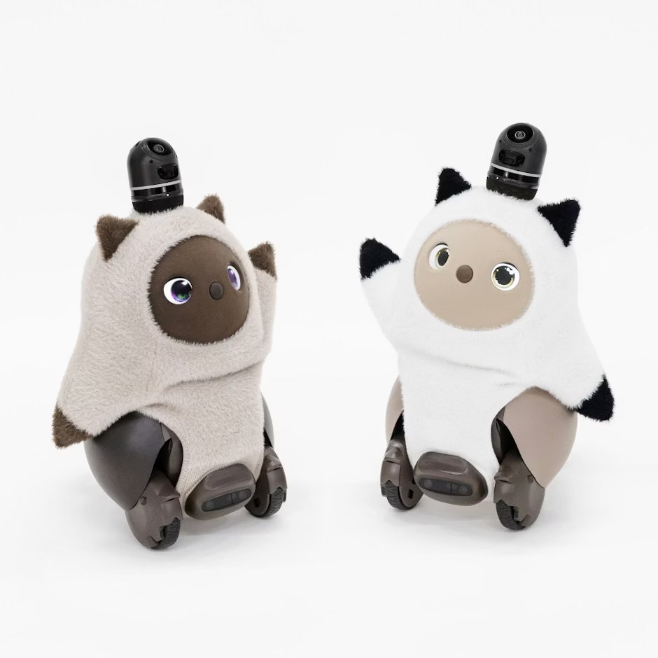 ねこみみニット ホールガーメント ホワイト lovot ラボット