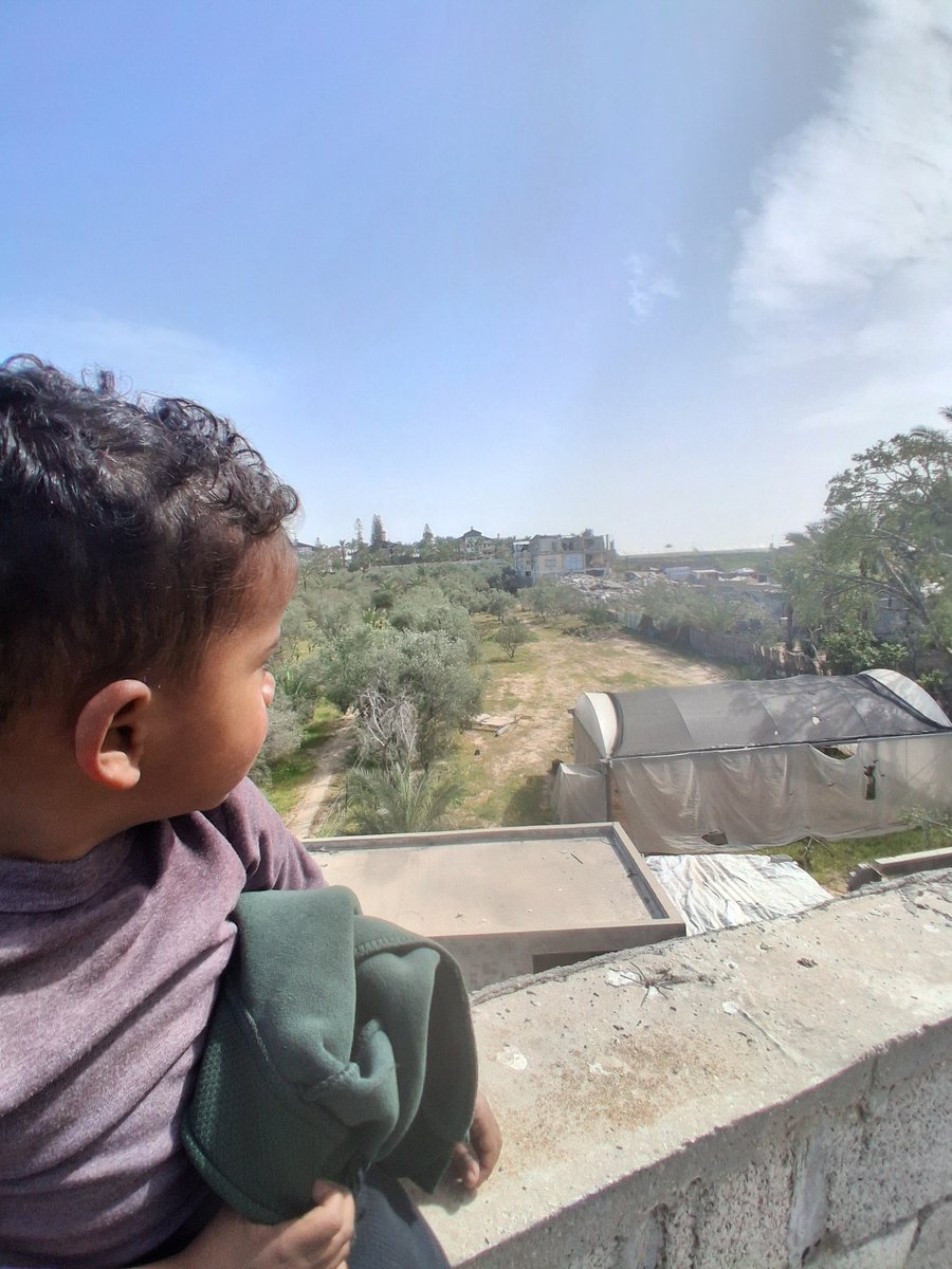 Saed Hassan #Gaza🇵🇸🍉 tweet media