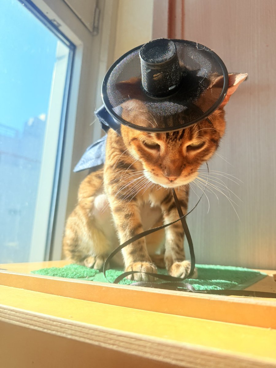 새해 복 많이받으세요!!