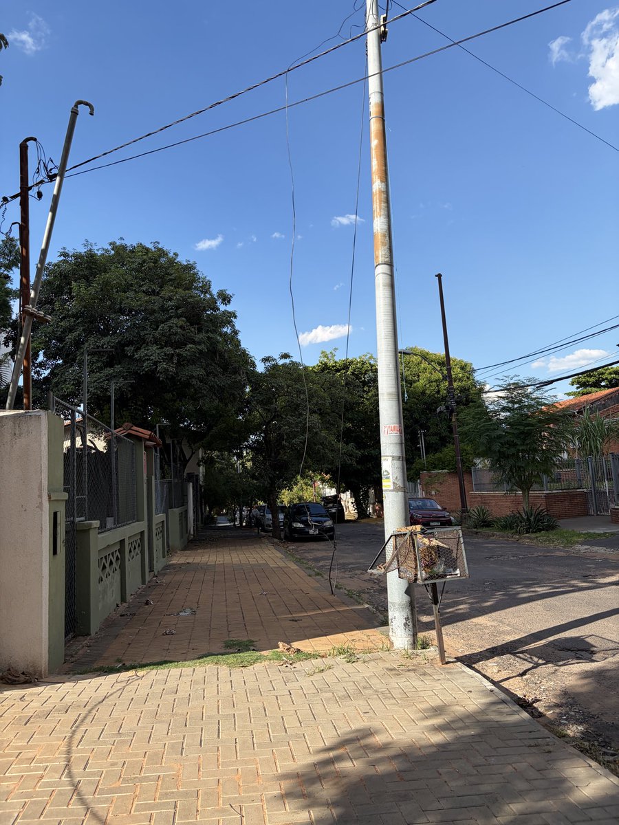 TheIndianDream tweet media