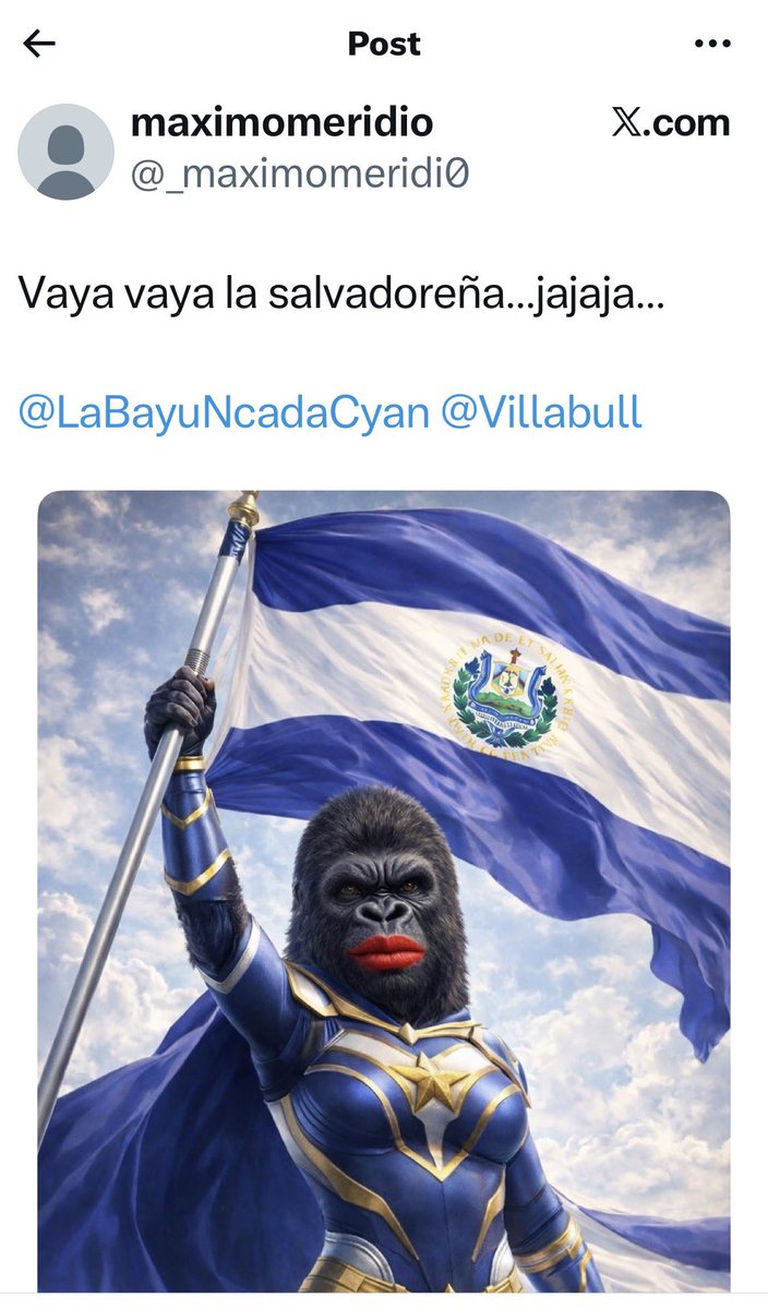 AgradecidaLau's tweet photo. Sos cobarde @Villabull , atacando, calumniando e insultando desde una cuenta alterna @_maximomeridi0 . Crees que no se nota que sos vos. #Bufona #Vulgar #Chancletuda #Racista #Demonio 🪴 🩴 🤮👿 https://t.co/b6iVEIAHhj