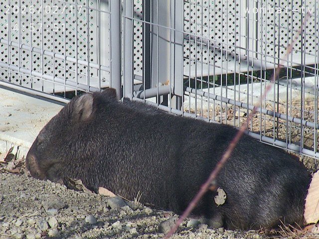 この姿を見ると頑張ろってなる