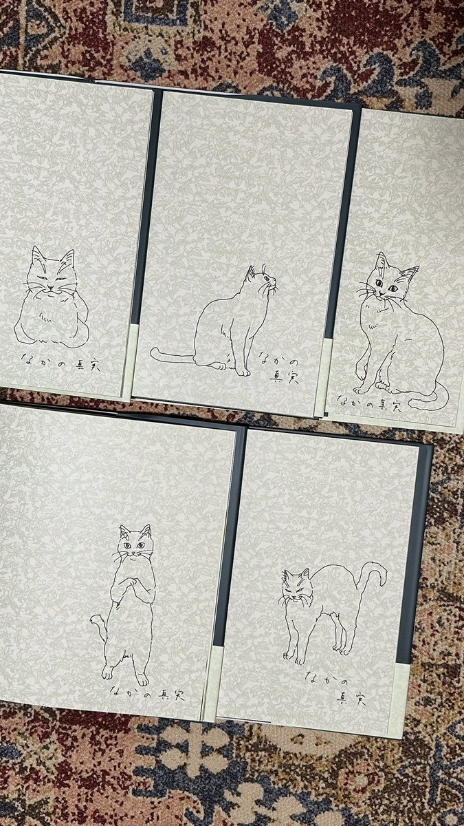 きのした めぐみ (@memi529) / Posts / X