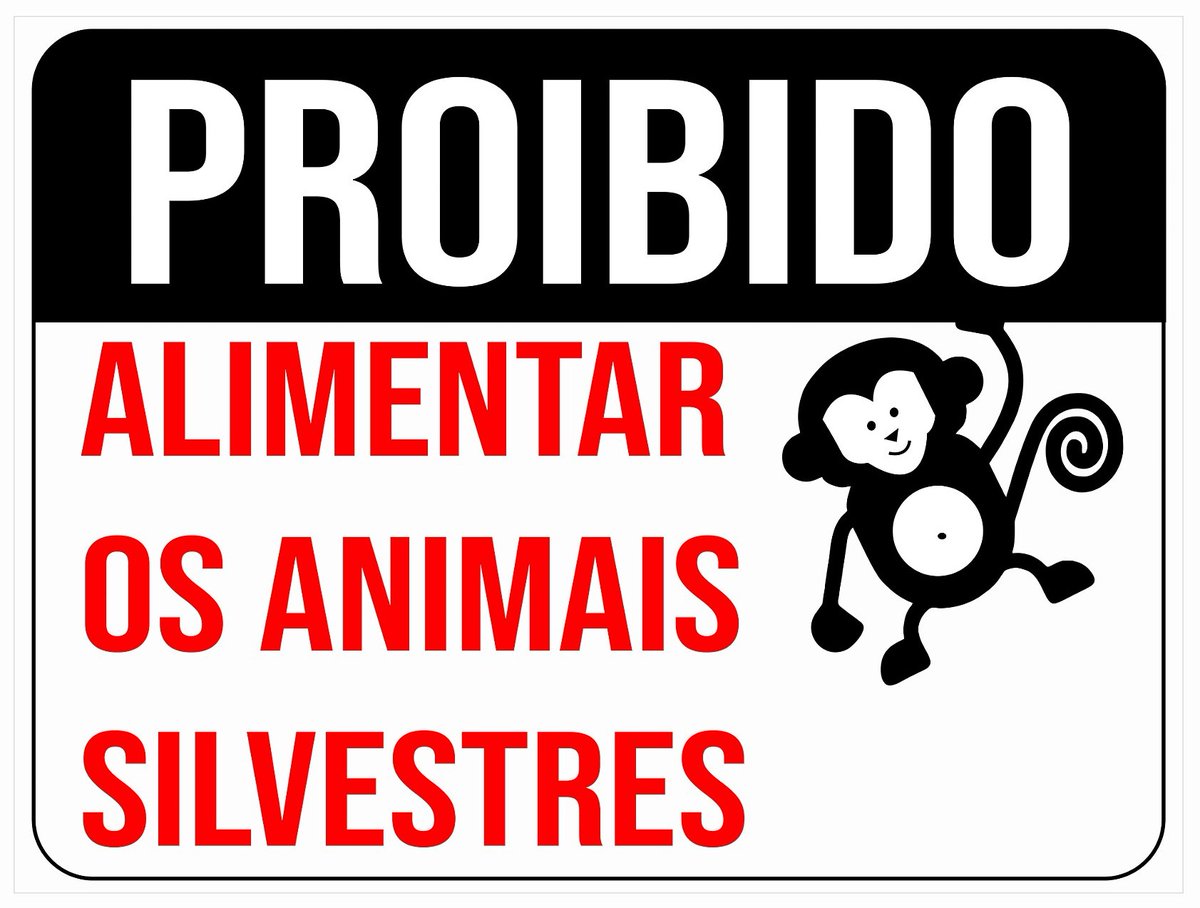 Basta ela manter distância de segurança e obedecer à sinalização.
