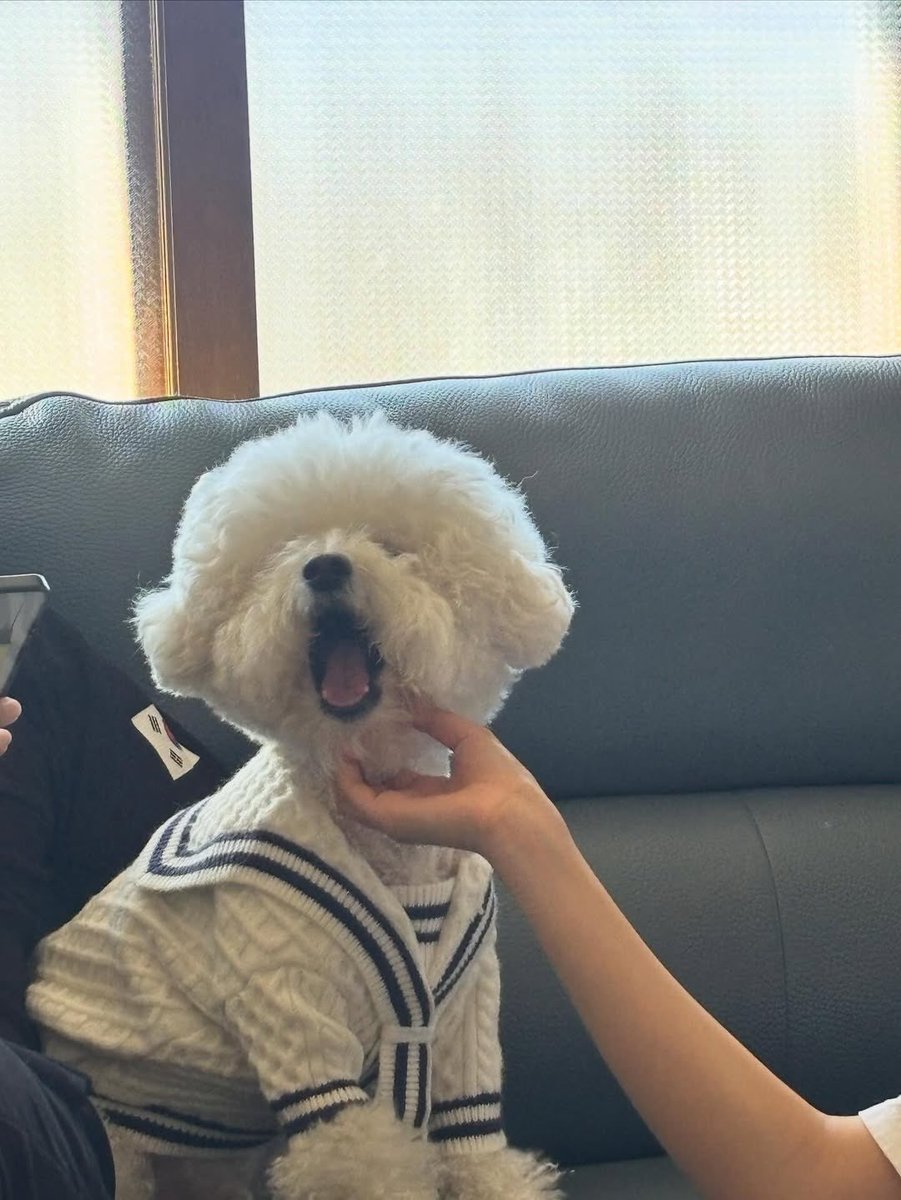 설날이라고 꼬까옷입은거 왜케귀엽냐