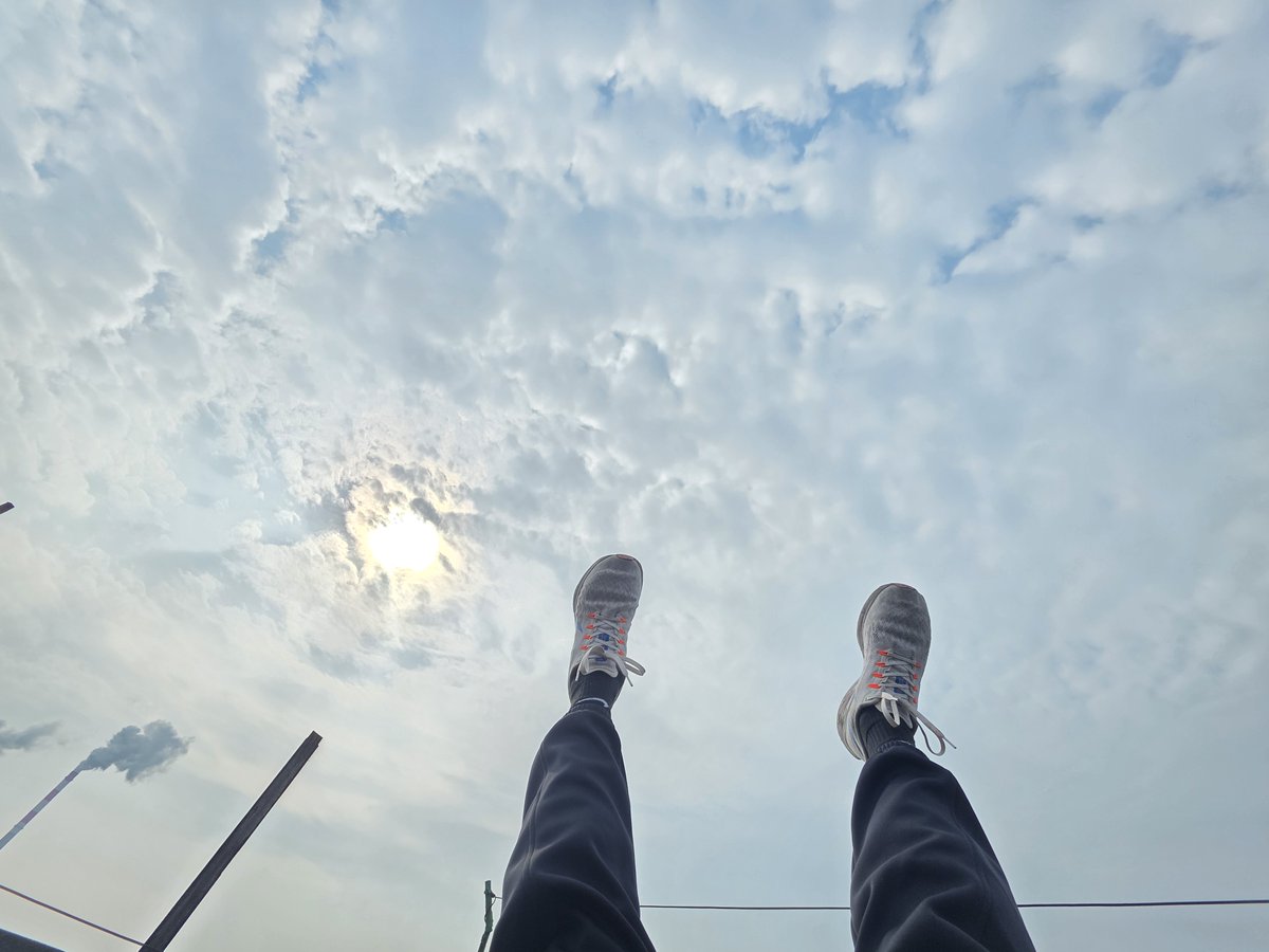 mystery豆鲨 tweet media