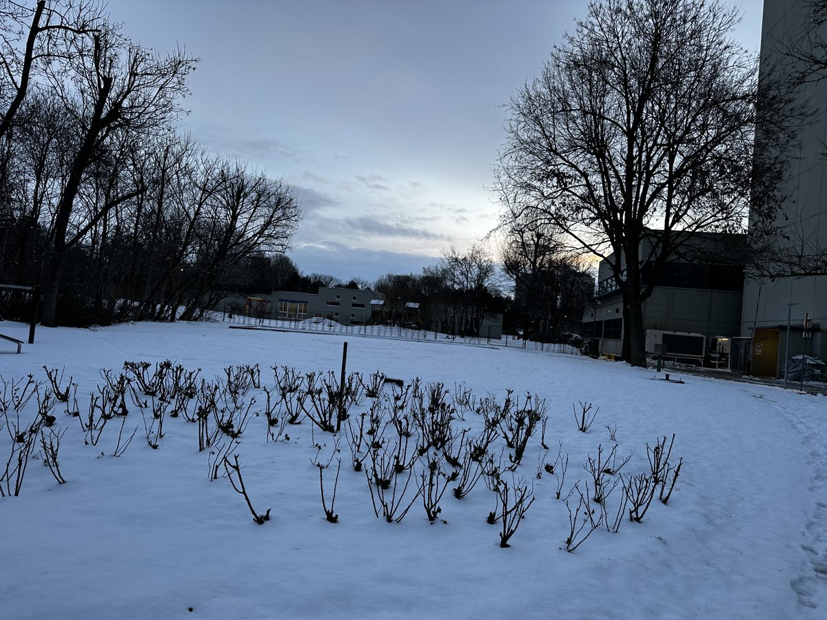 Welcome back winter ❄️ 
Good morning people!