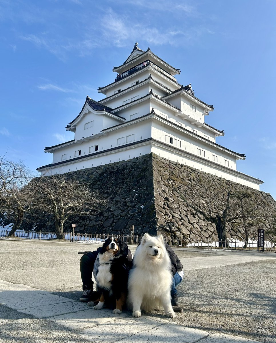 常連のお客さまをご紹介です🐶✨

スタッフの癒しの存在、かわいいワンちゃんたち。
ほぼ毎日、お散歩でお立ち寄りくださっています🐾

今日も元気をありがとうございます♪

#鶴ヶ城
#今日のわんこ