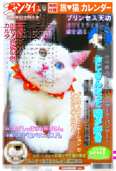 🐈「日刊ニャンダイ2026」発売です 猫をいっぱい楽しむ、5周年記念特大